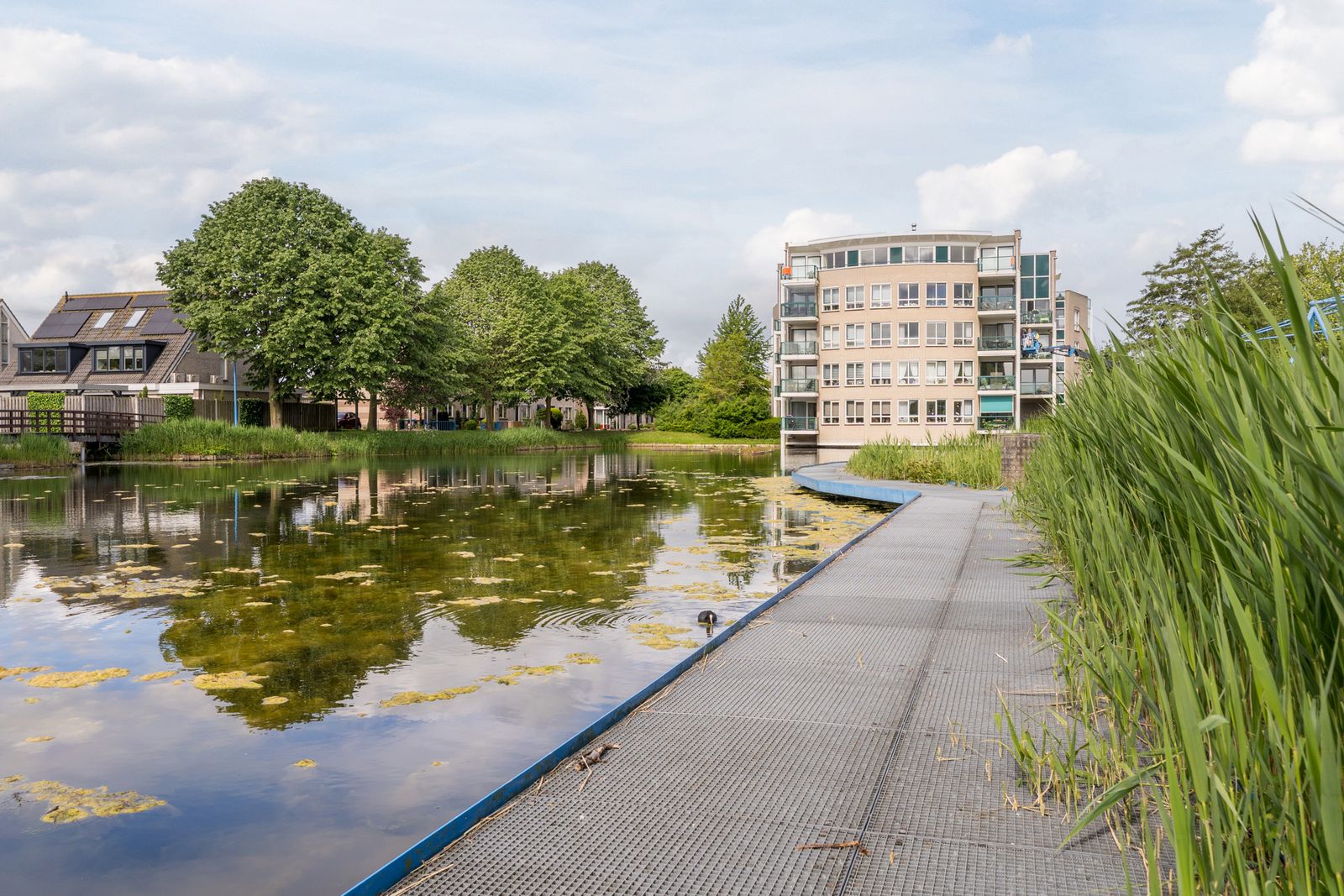 Erasmuspark 105