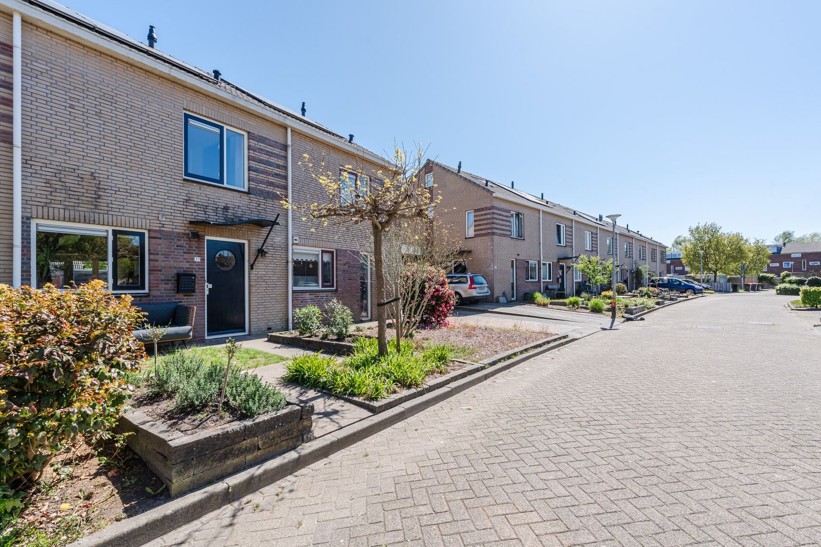 Opaalstoep 37