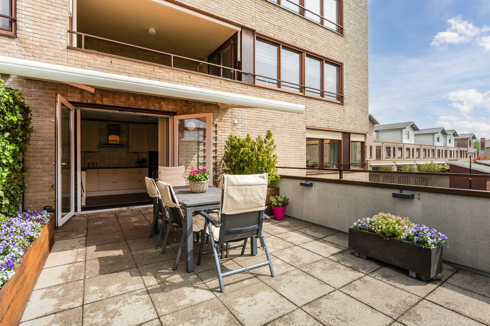 Korenbloem 6