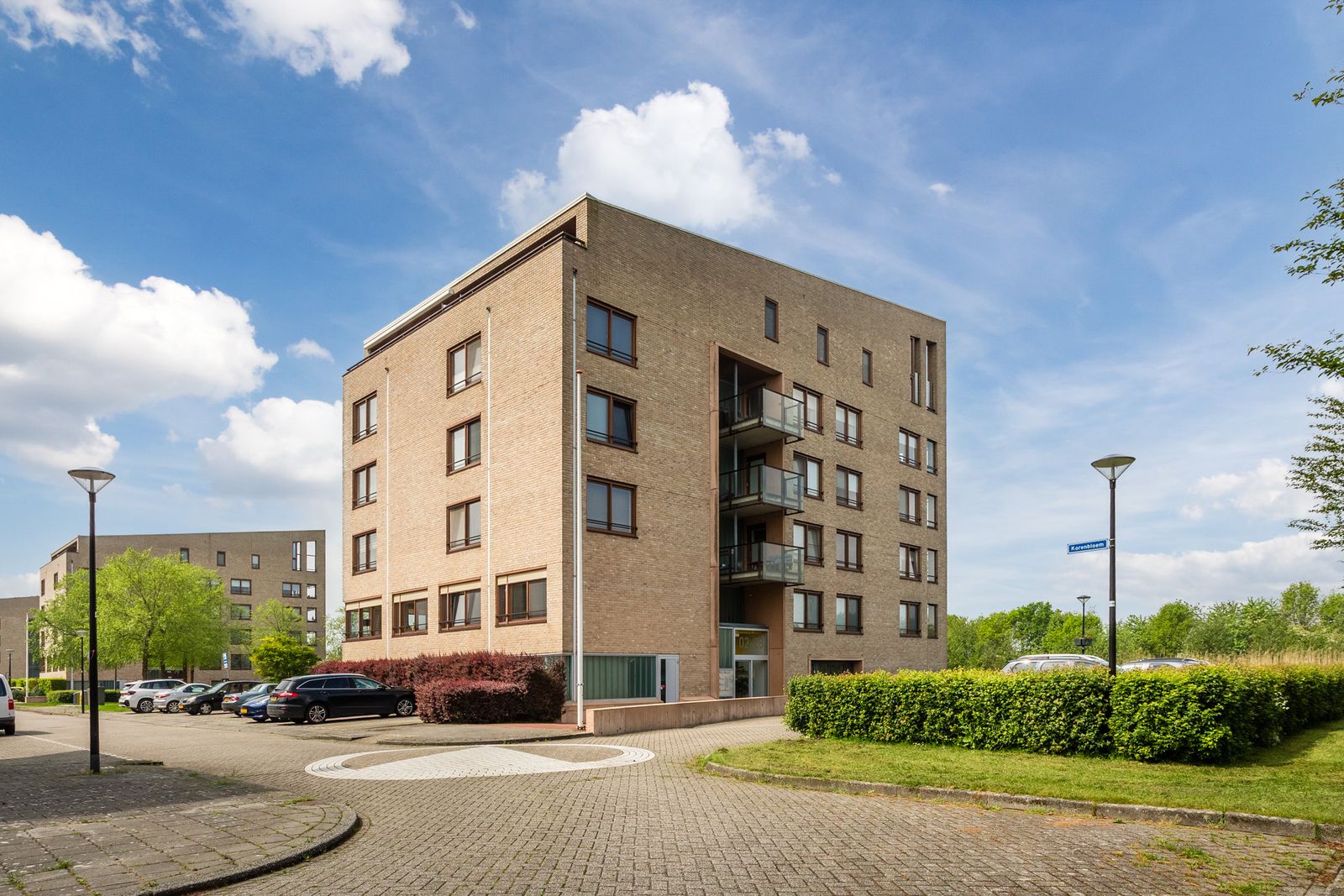 Korenbloem 6