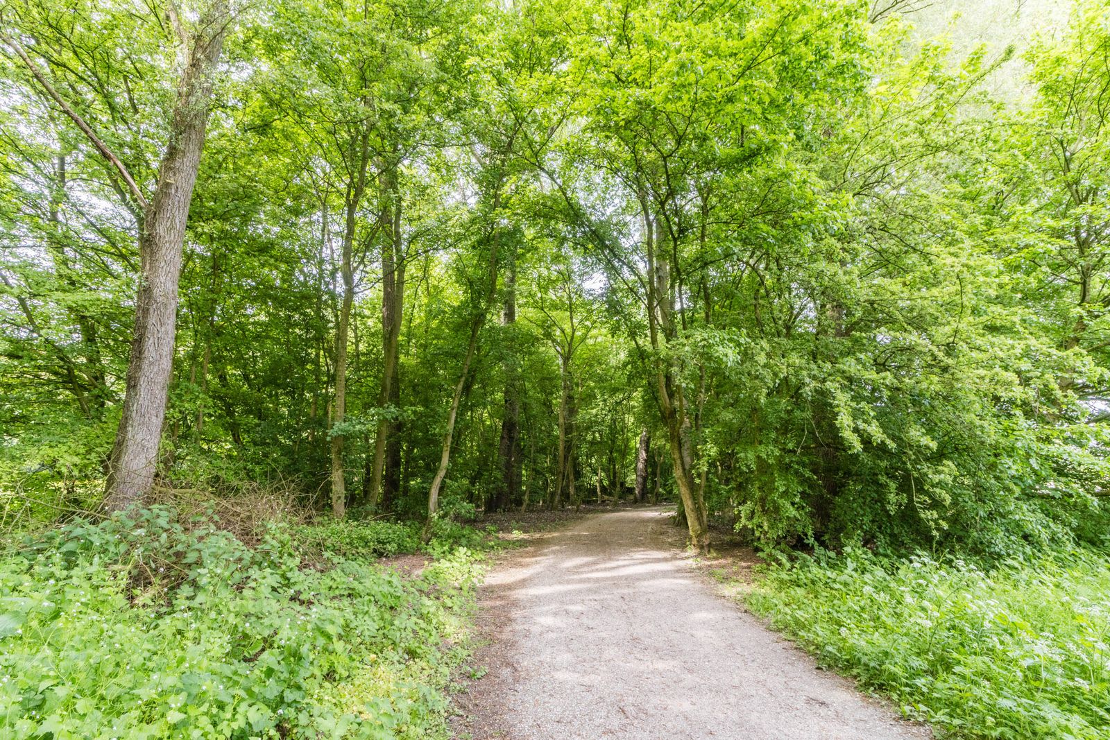 Kennemerland 9