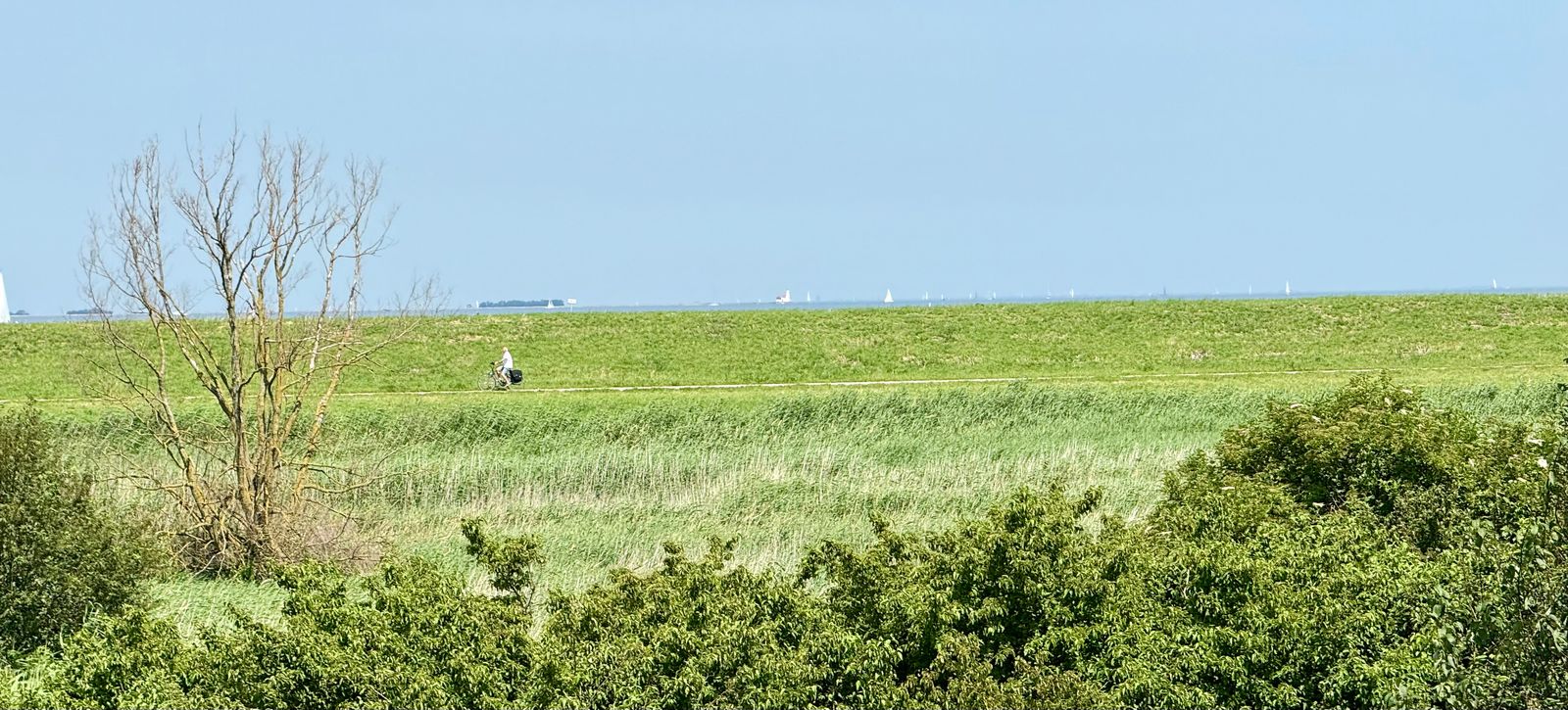 Stopperknoop 16