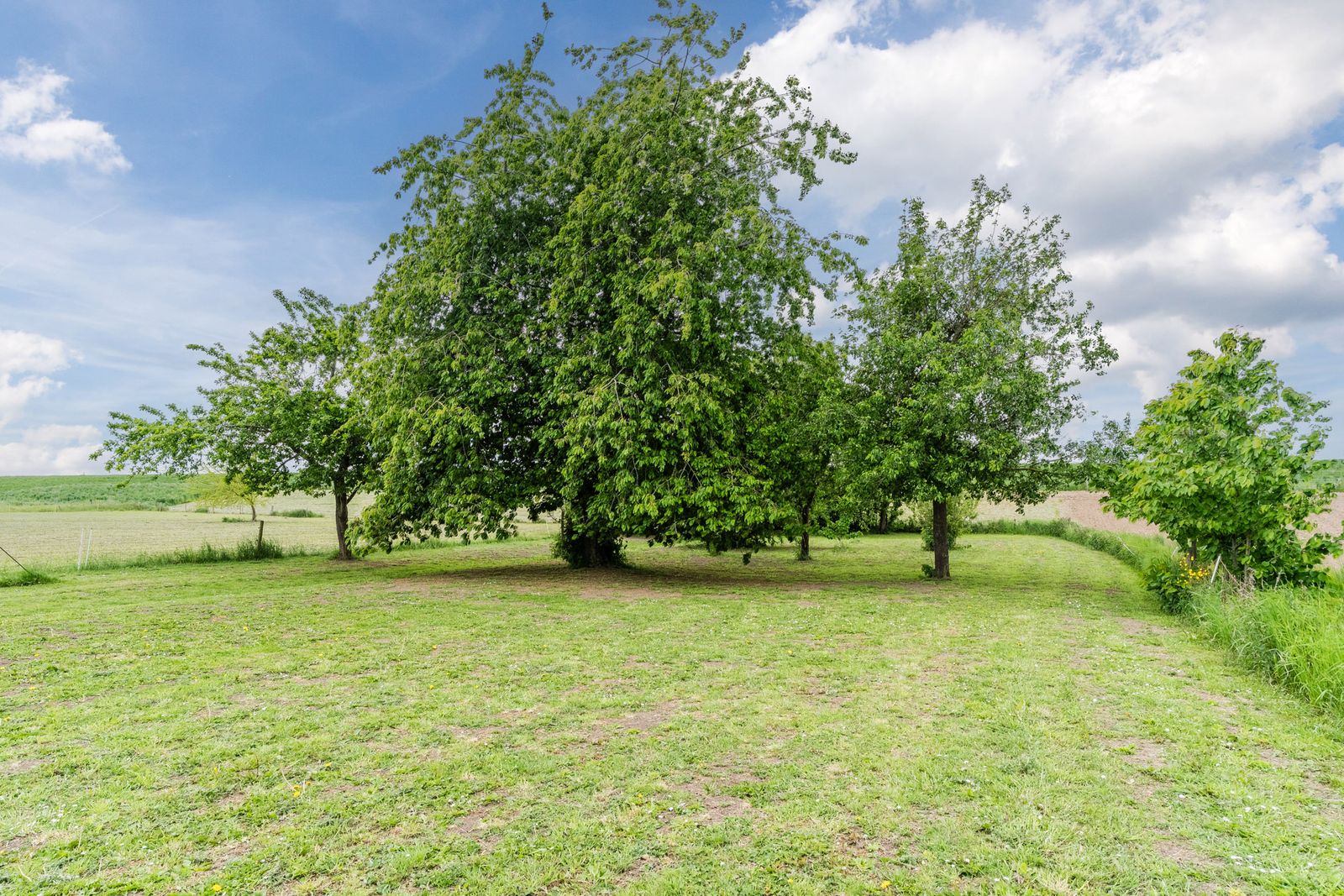 Waaldijk 38
