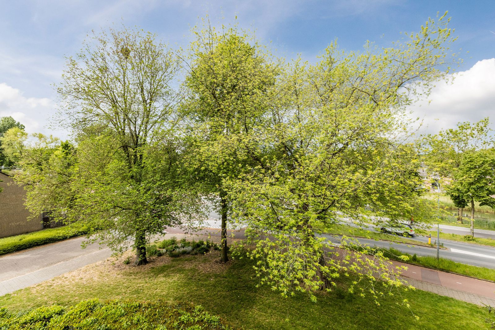 Zesde Buitenpepers 30