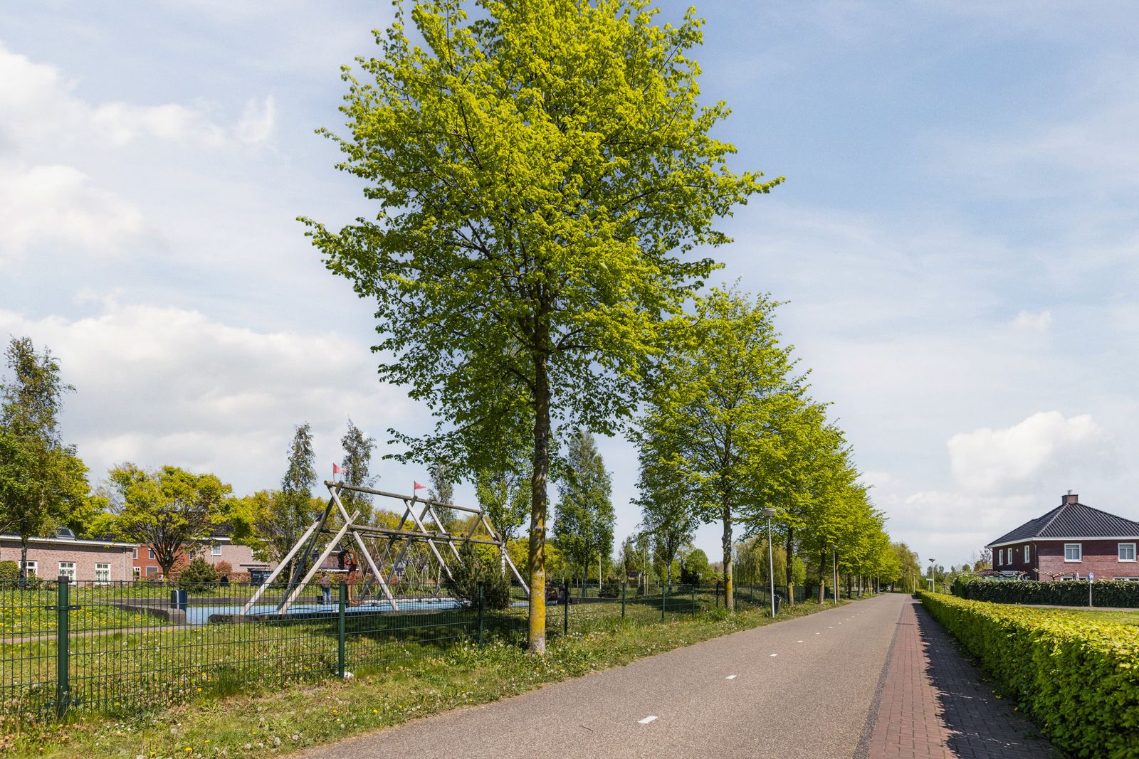 Hardenbroek 75