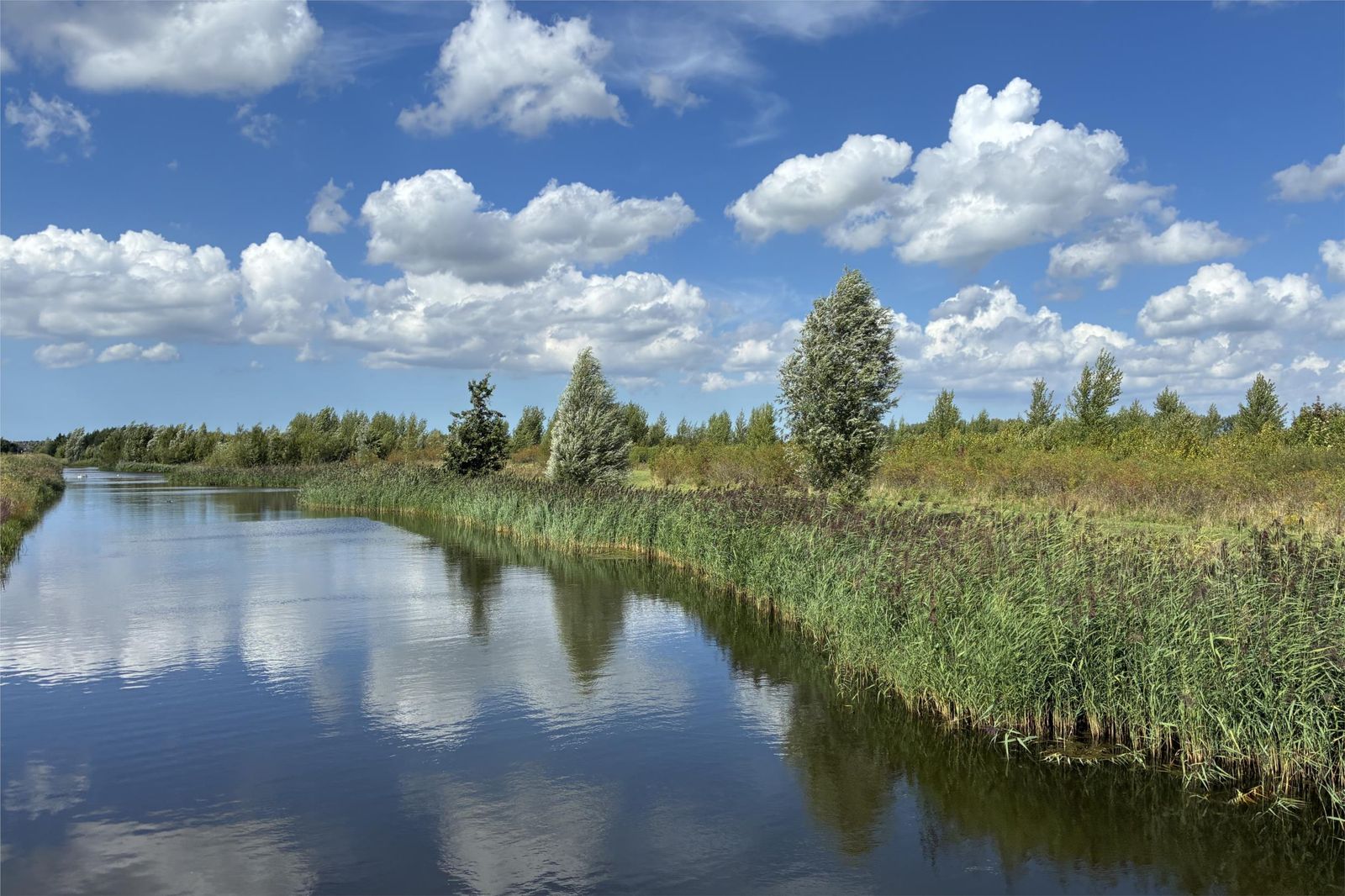 Berkelstroom 40
