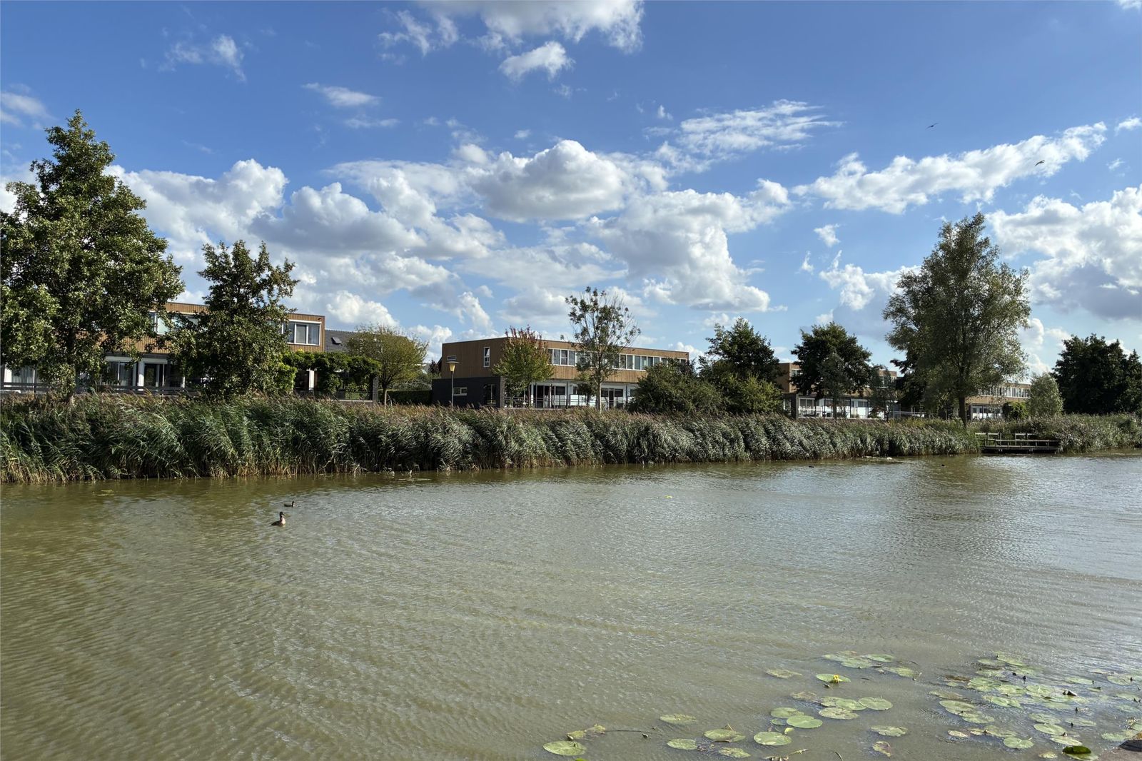 Berkelstroom 40