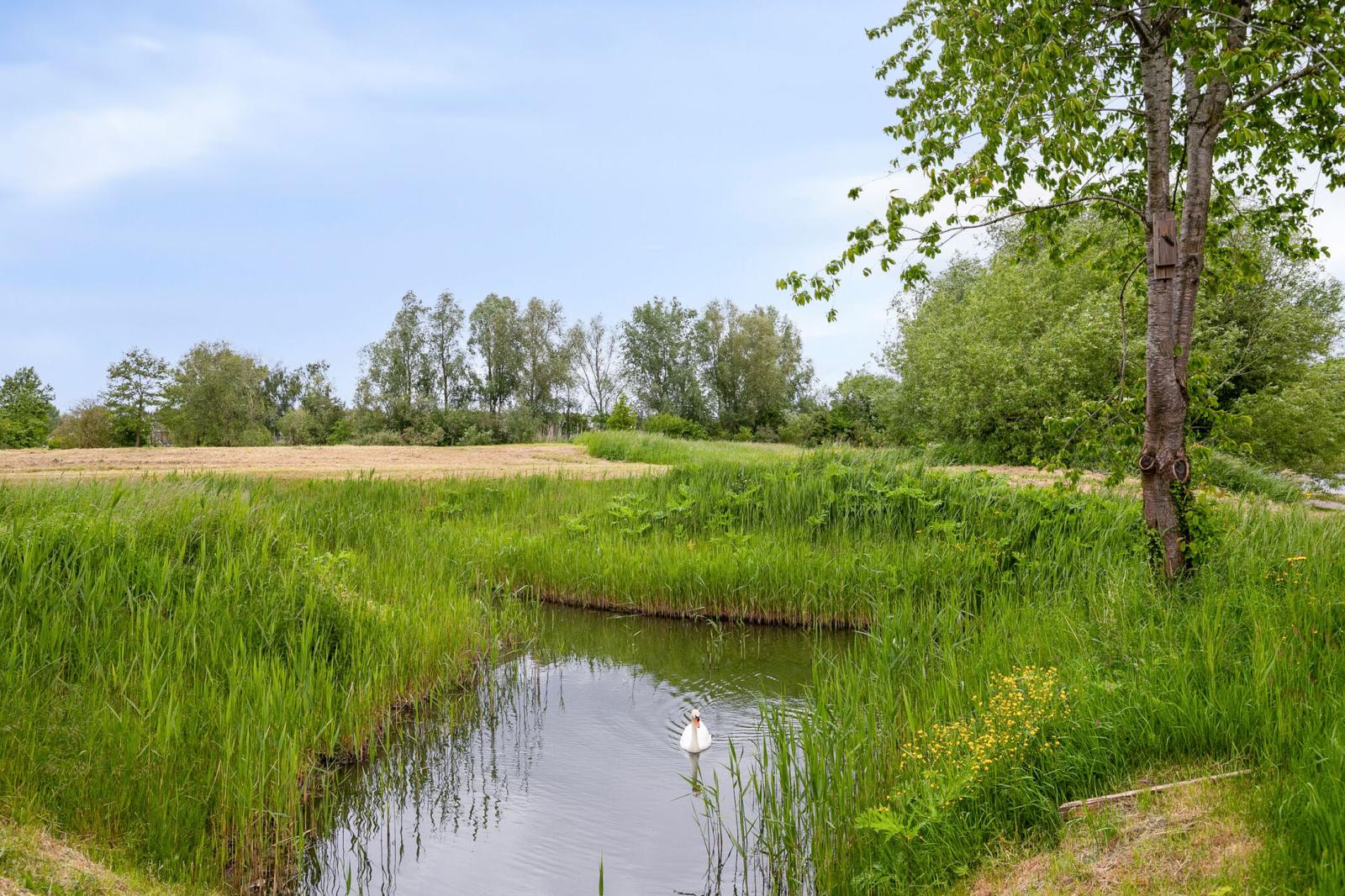 Westhoven 136