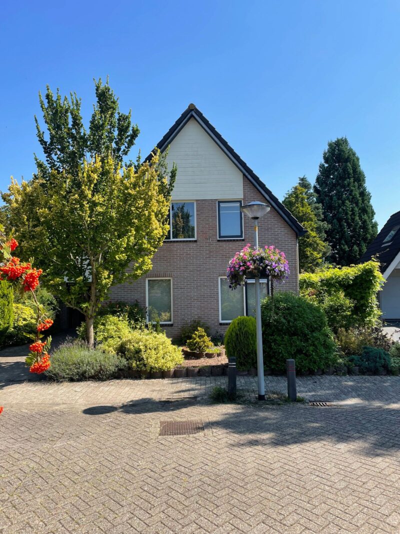 Schoener 44 7