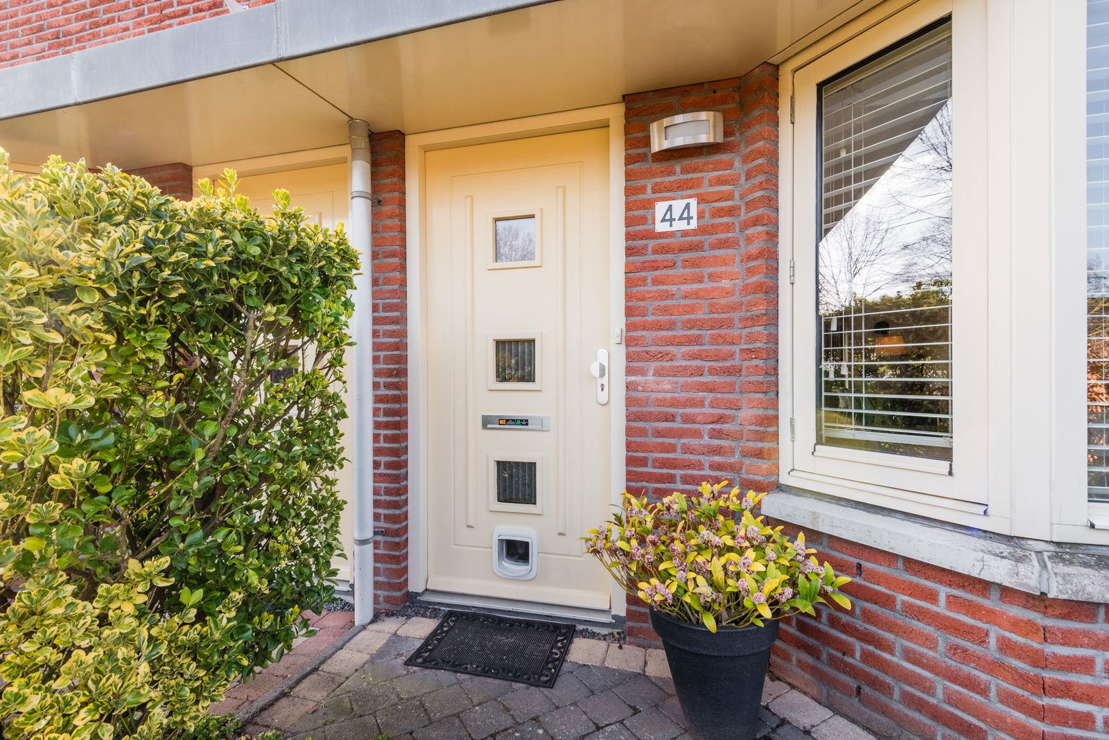 Vasalisstraat 44