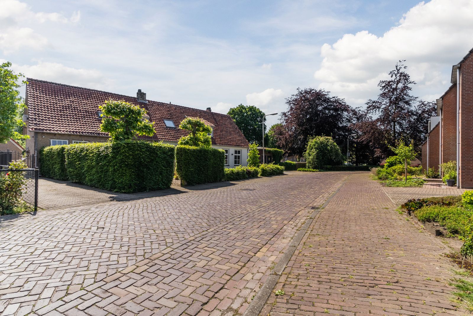 Torenstraat 8