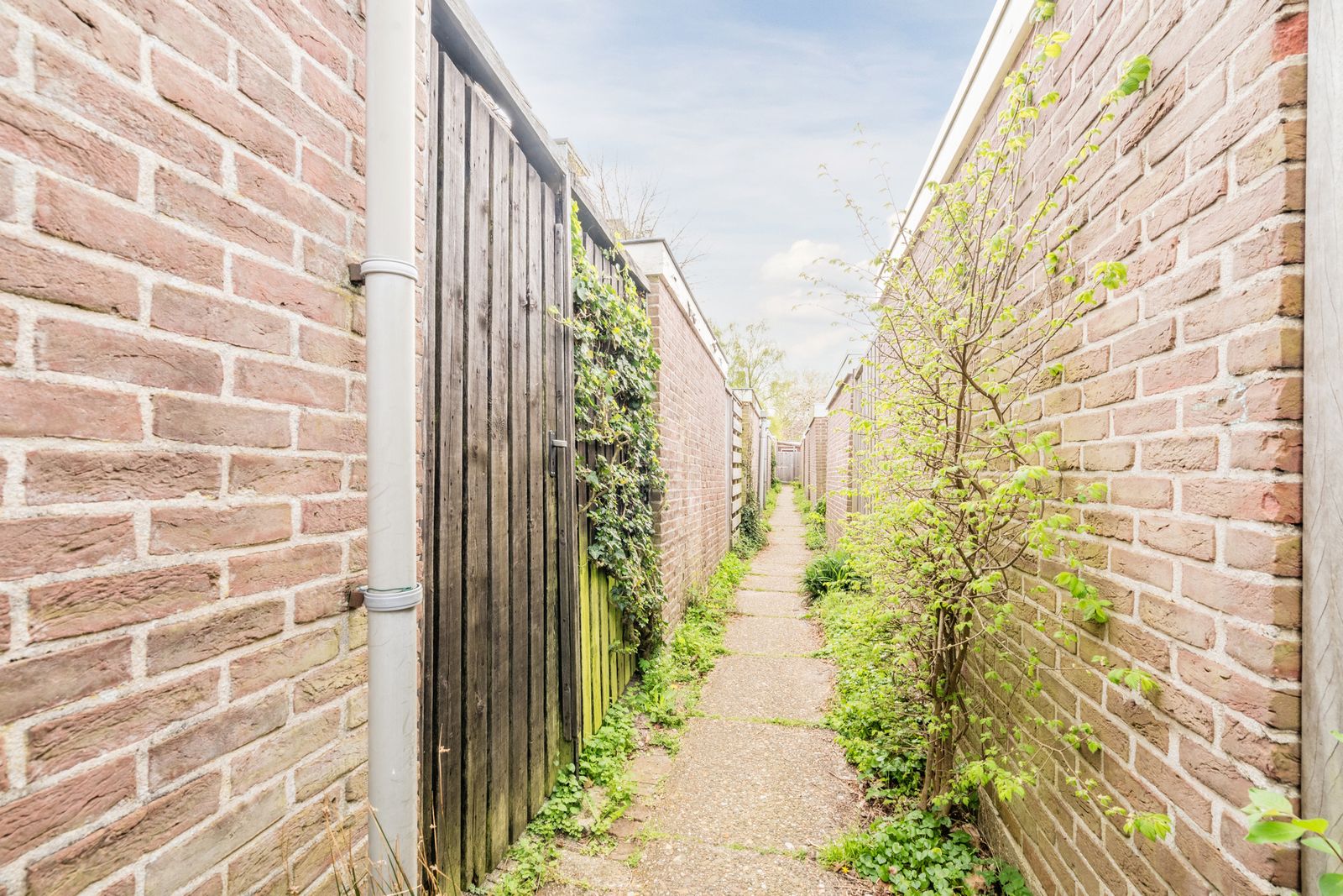 Kernkampplantsoen 4
