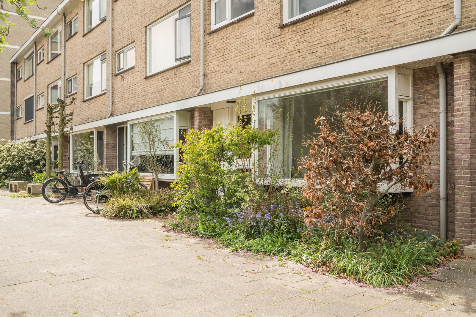 Kernkampplantsoen 4
