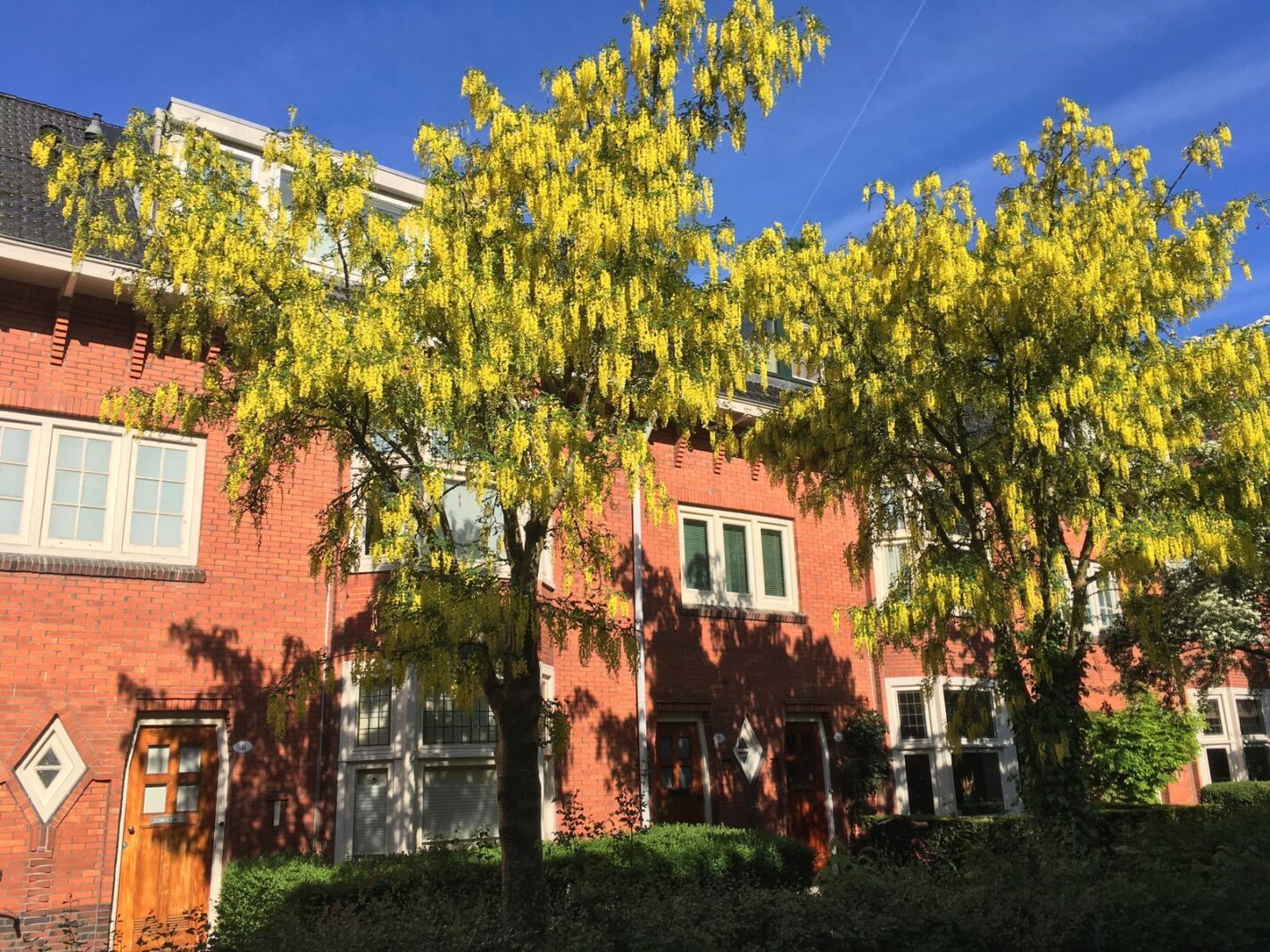 Dr. D. Bosstraat 3a