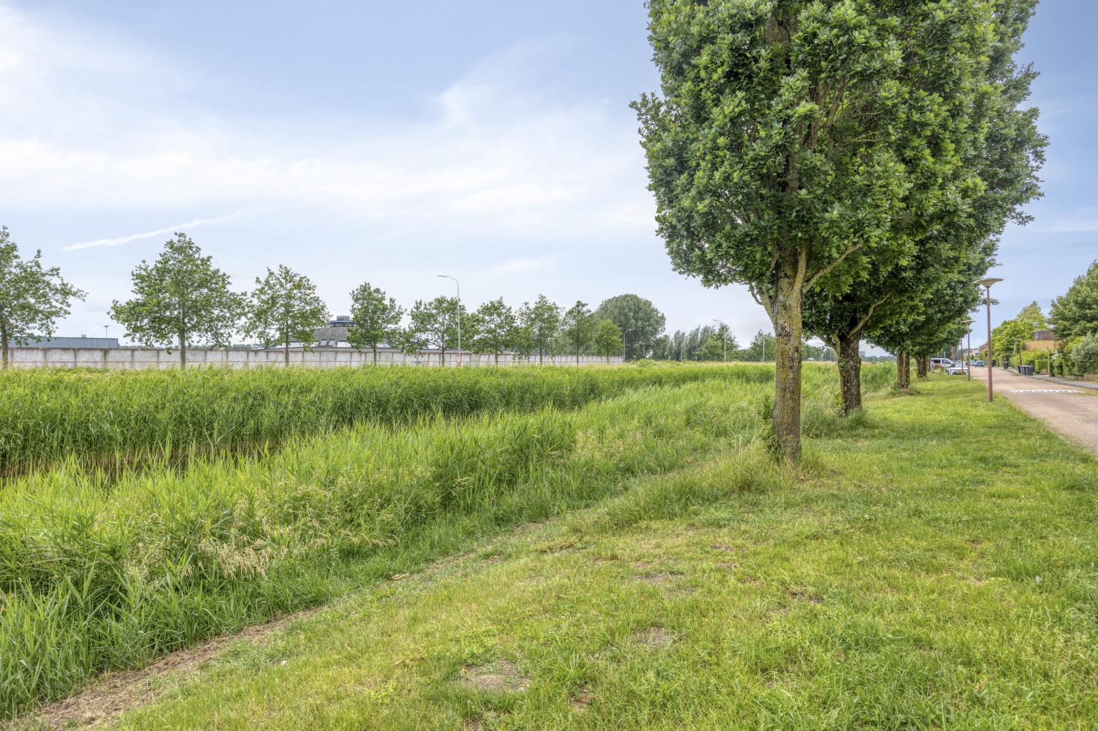 Oostermoer 19