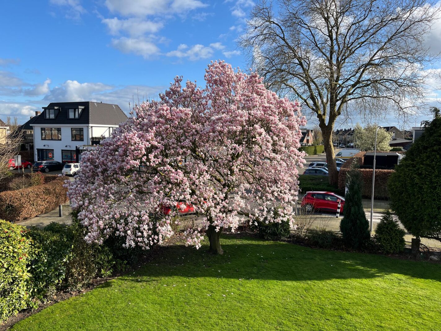 Nedereindsestraat 28
