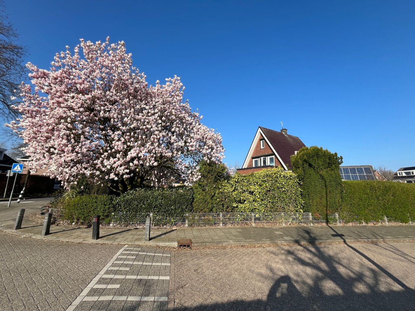 Nedereindsestraat 28