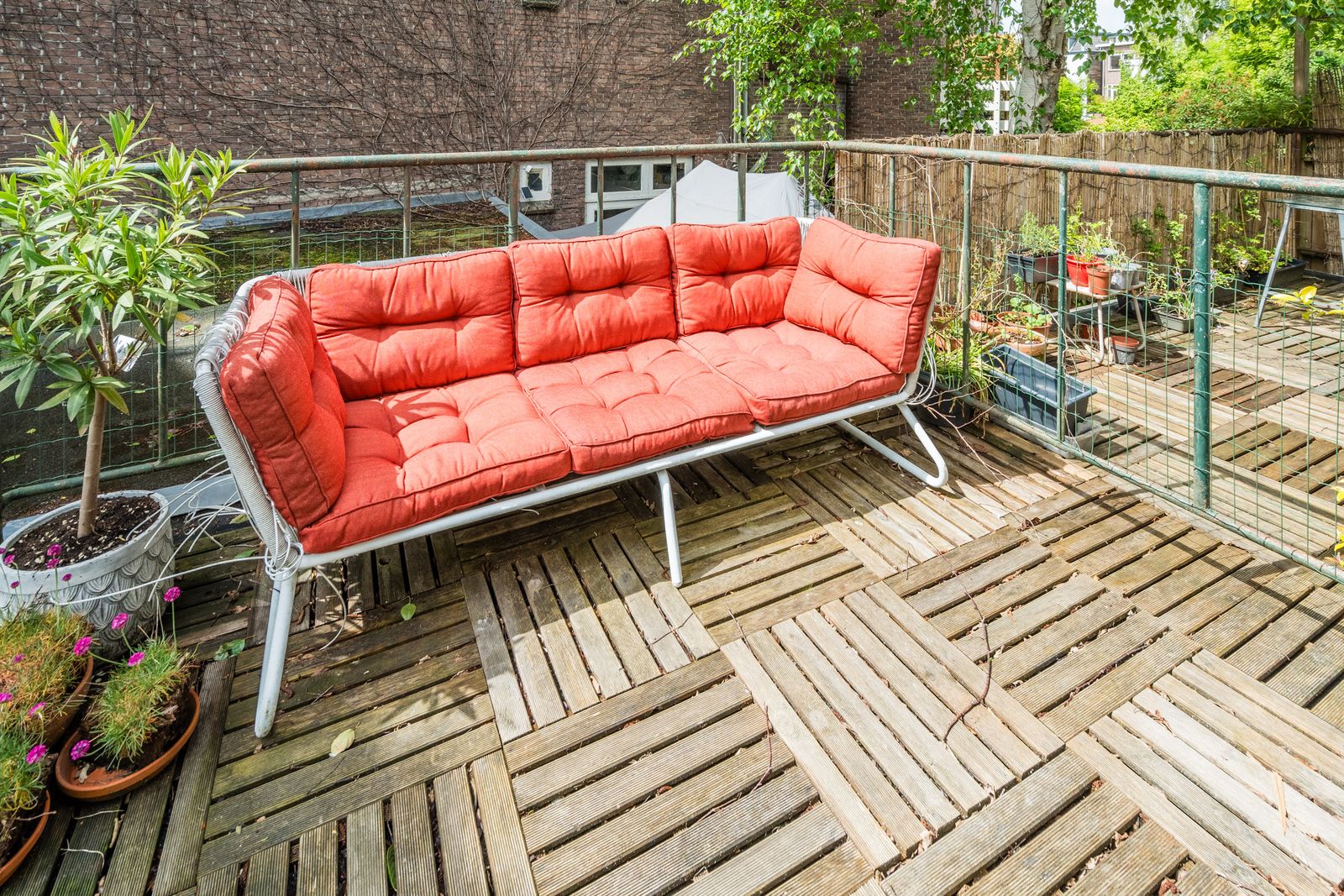 Koekoekstraat 6BS