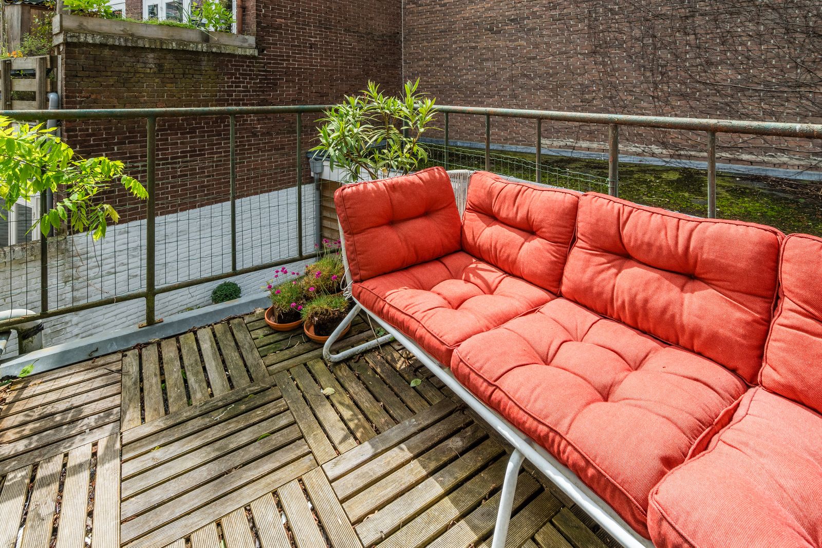 Koekoekstraat 6BS