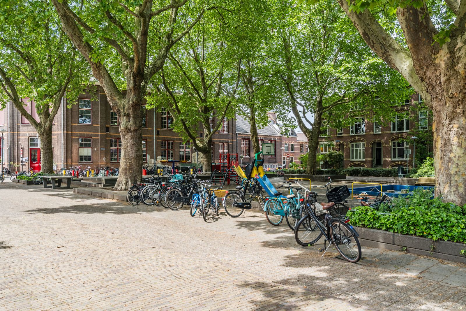 Koekoekstraat 6BS