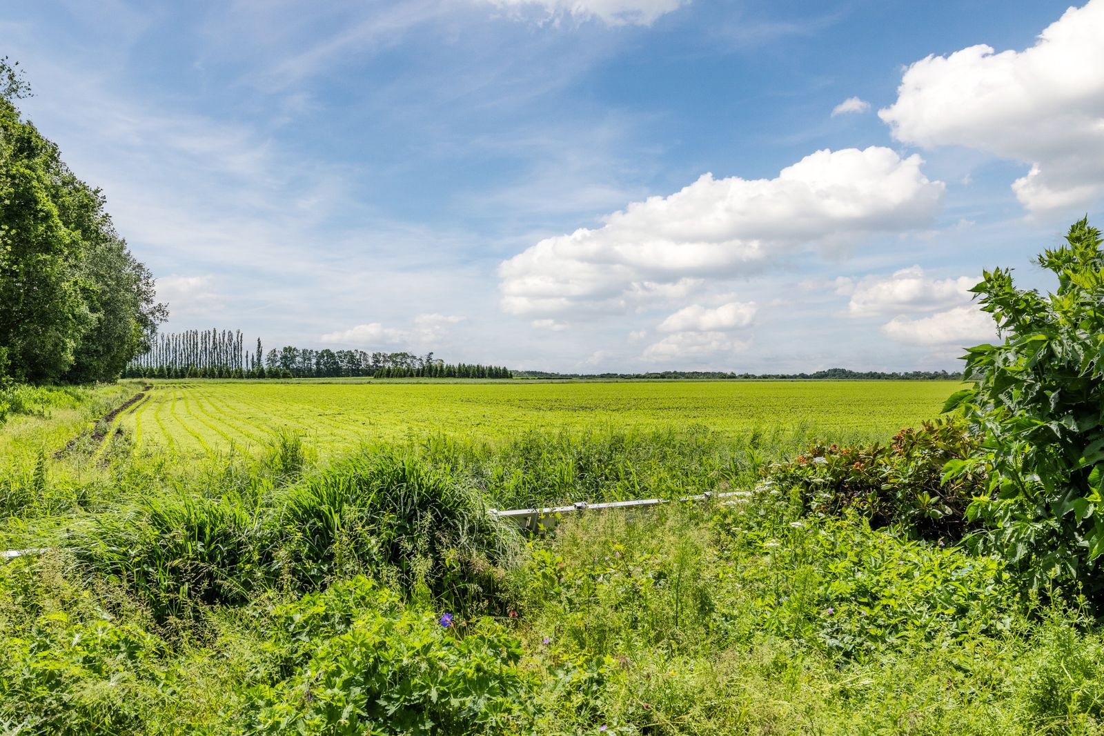 Havenstraat 25