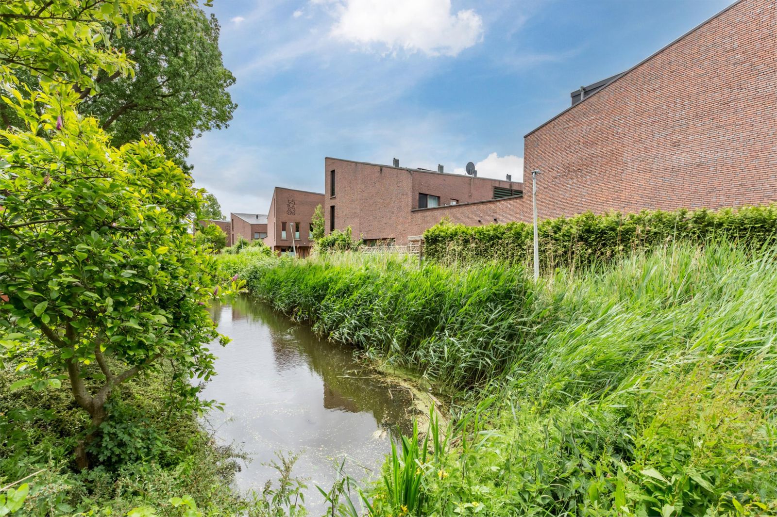 Luiksestraat 18