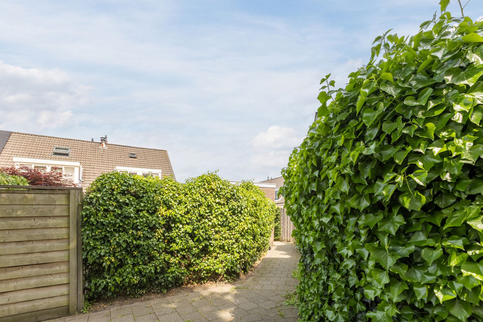 Zonnedauw 26