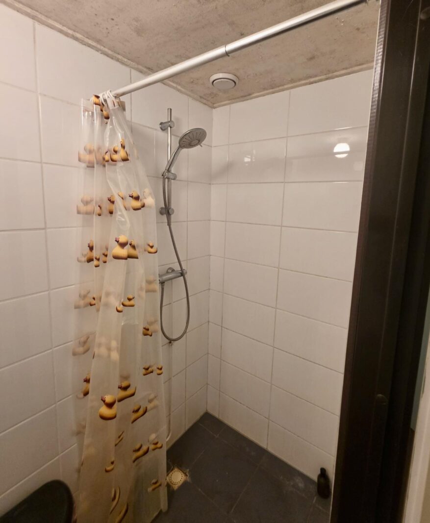 Kanariesprenk 19