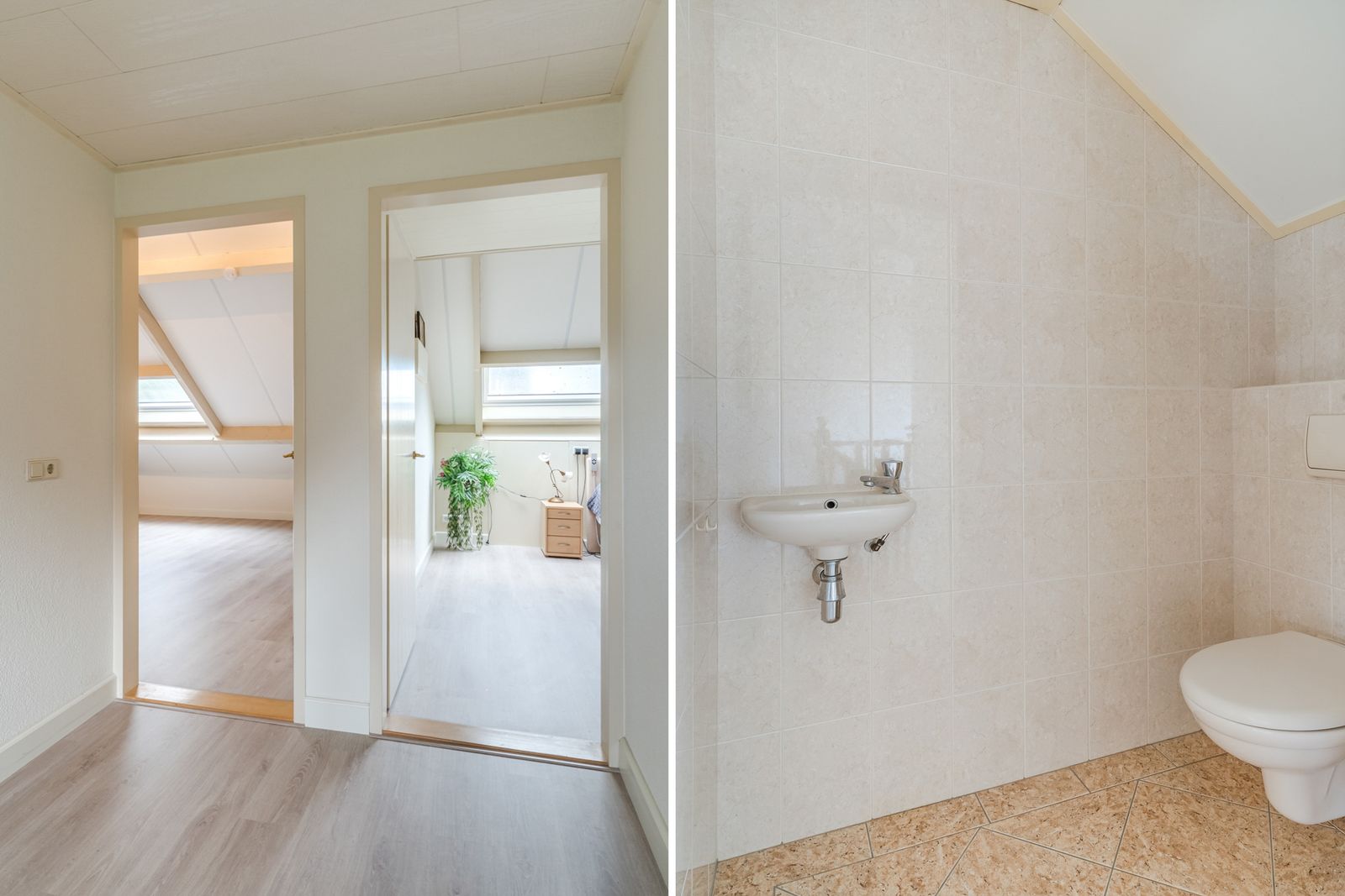 Bosdammen 2
