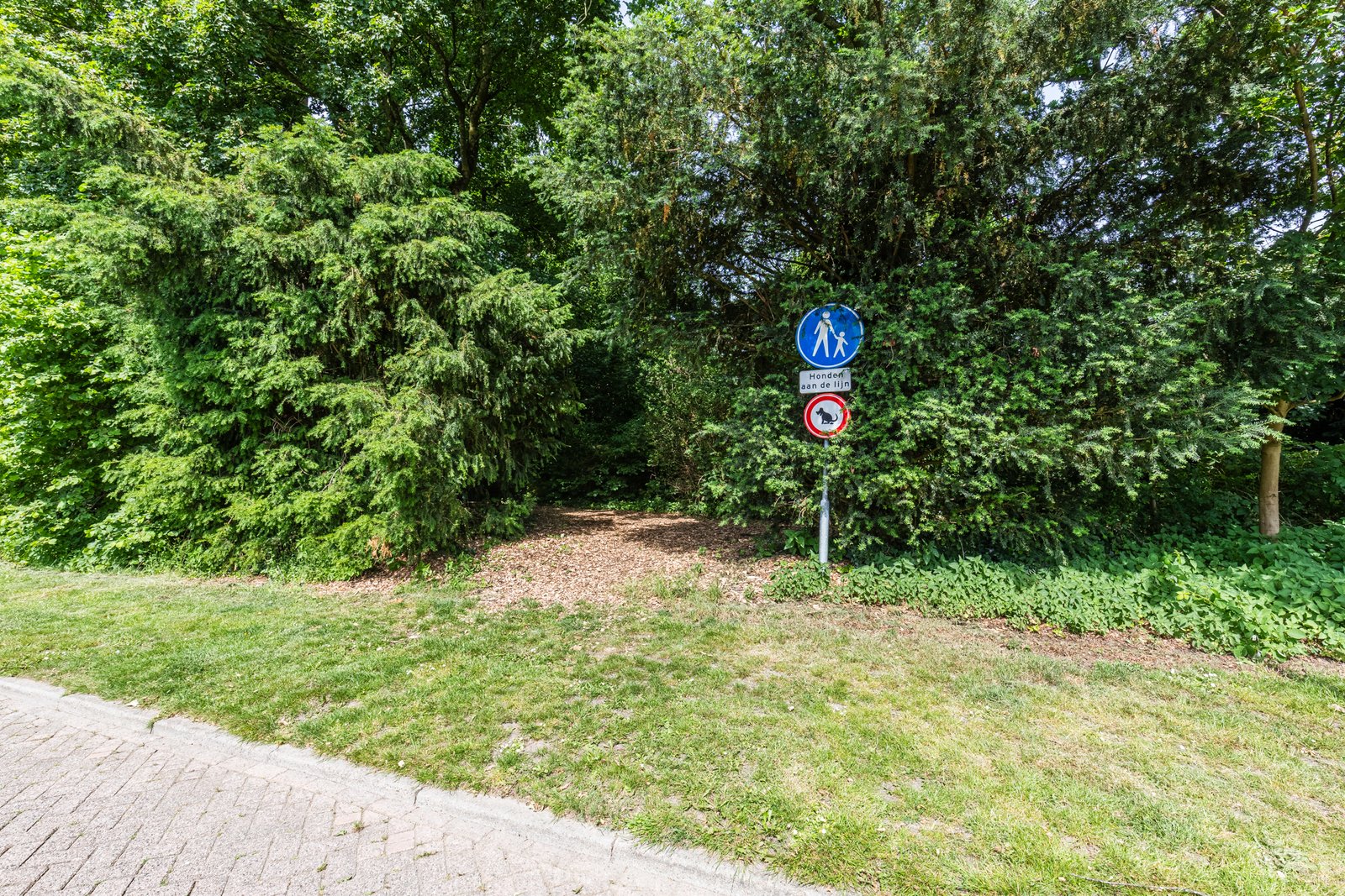 Bosveld 26