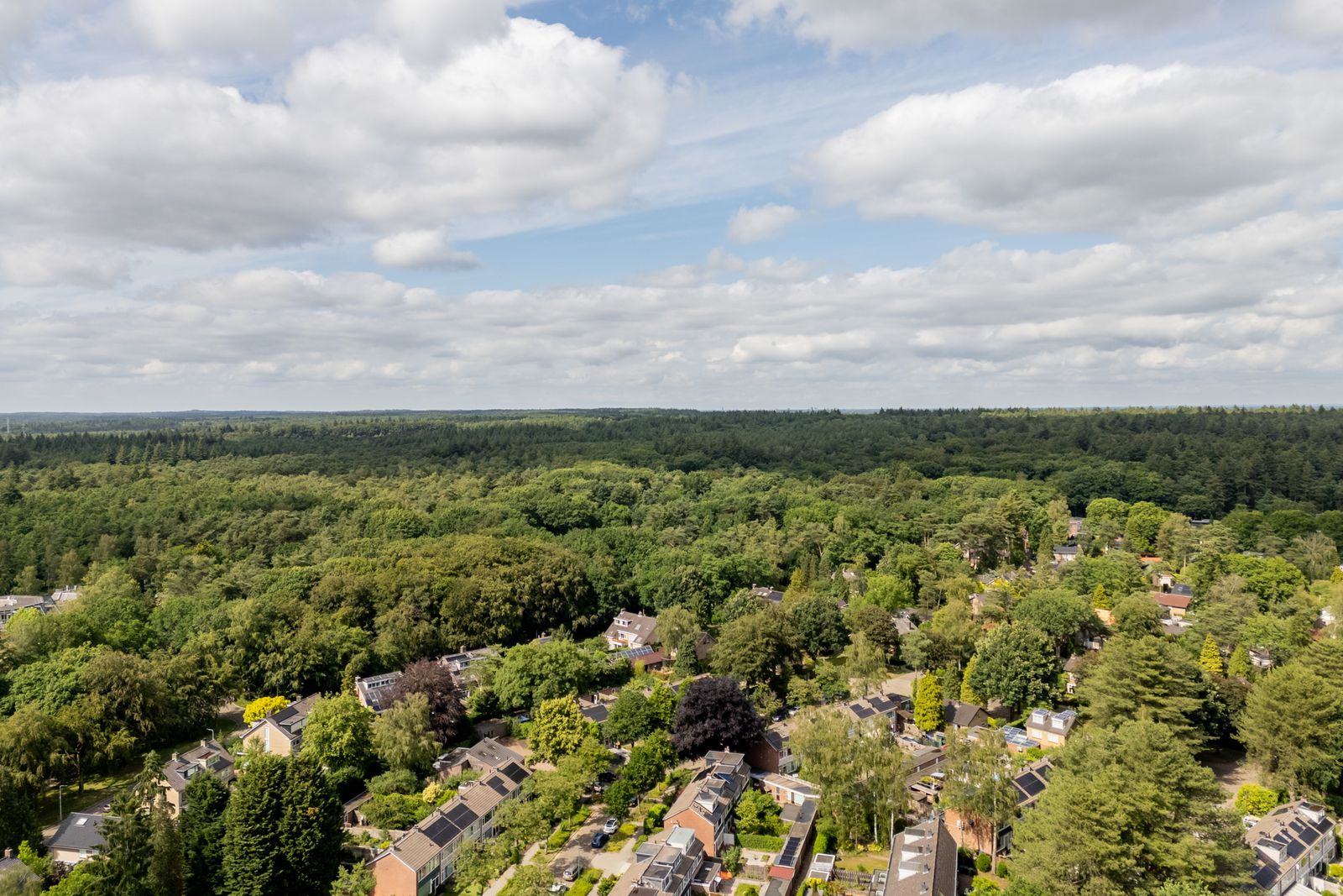 Witte de Withlaan 10