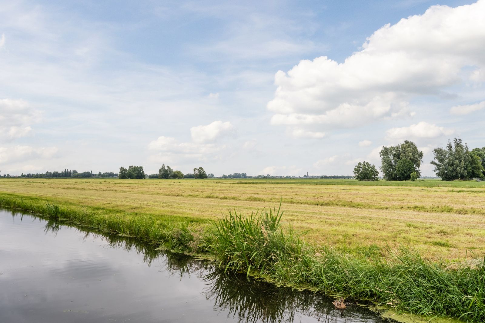 Patrijshof 8
