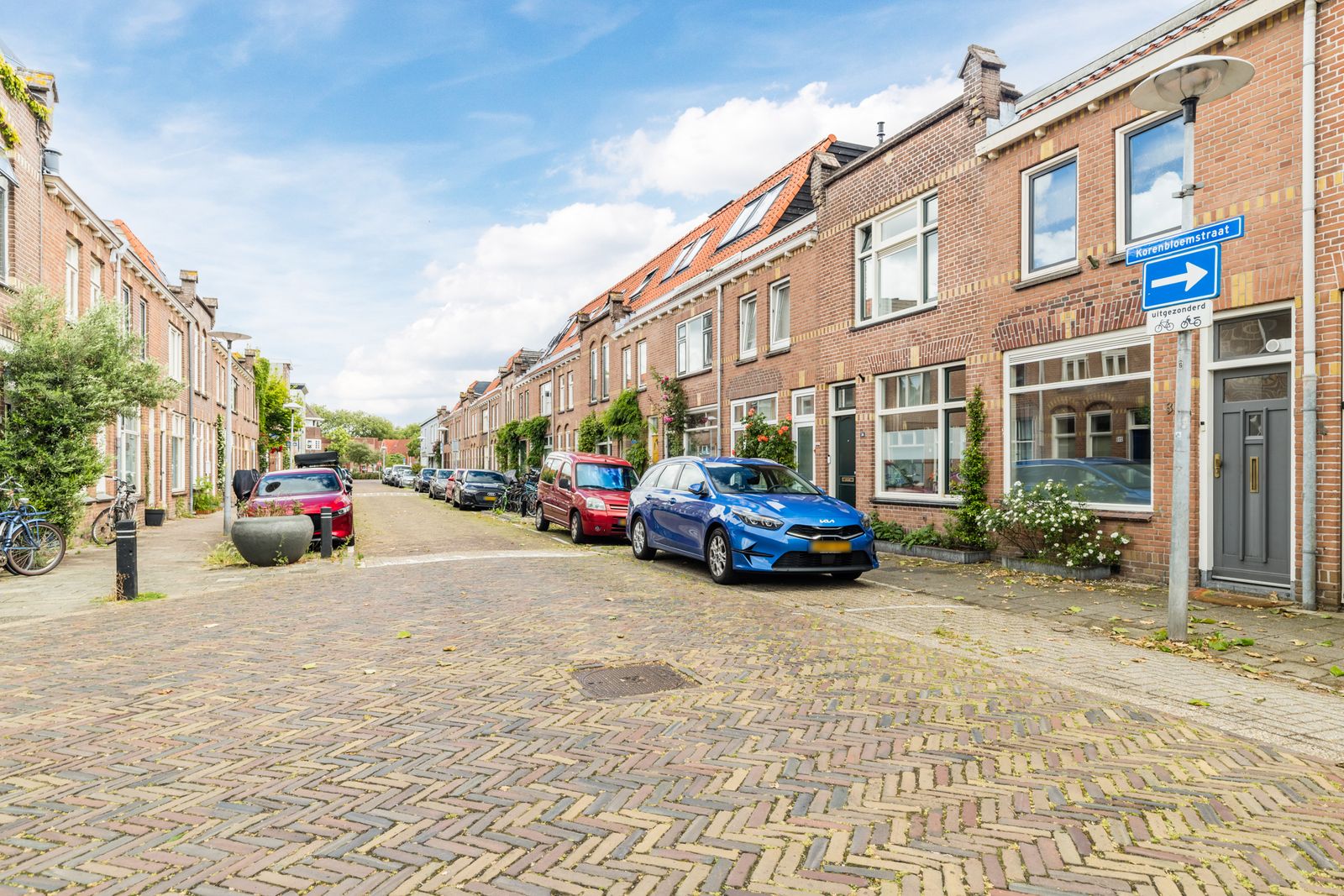 Korenbloemstraat 36