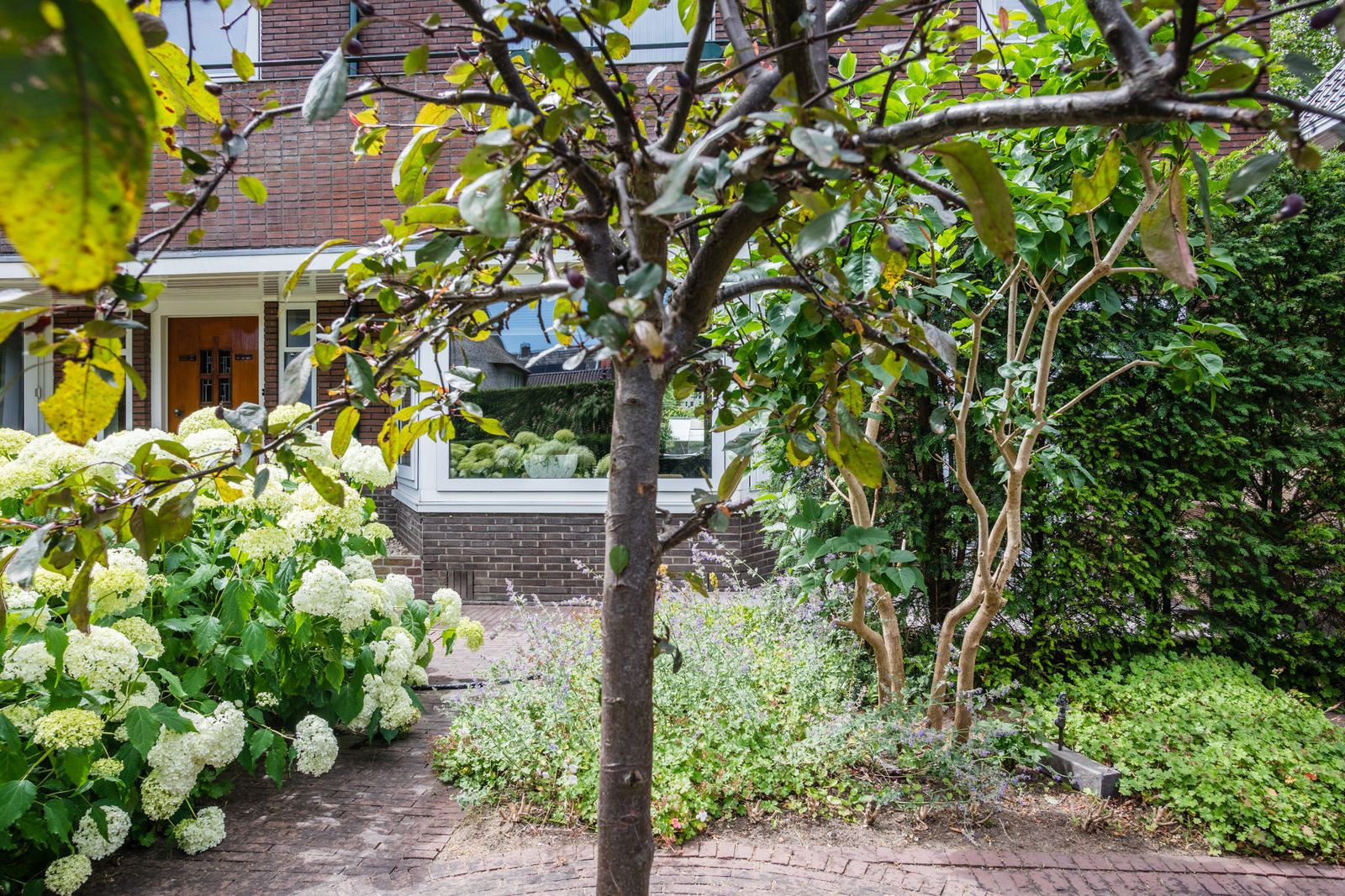 Burgemeester Tenkinkstraat 28