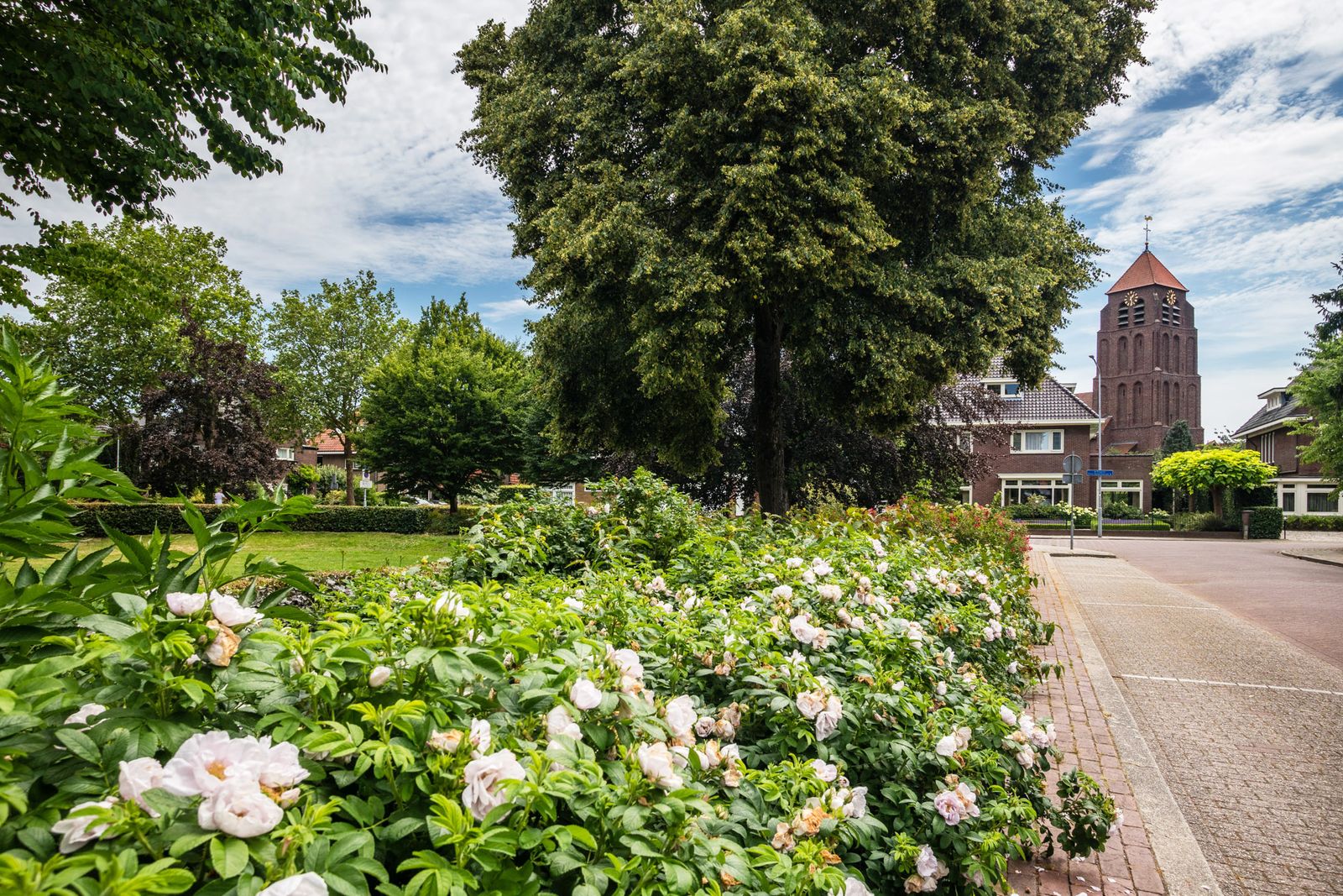 Burgemeester Tenkinkstraat 28
