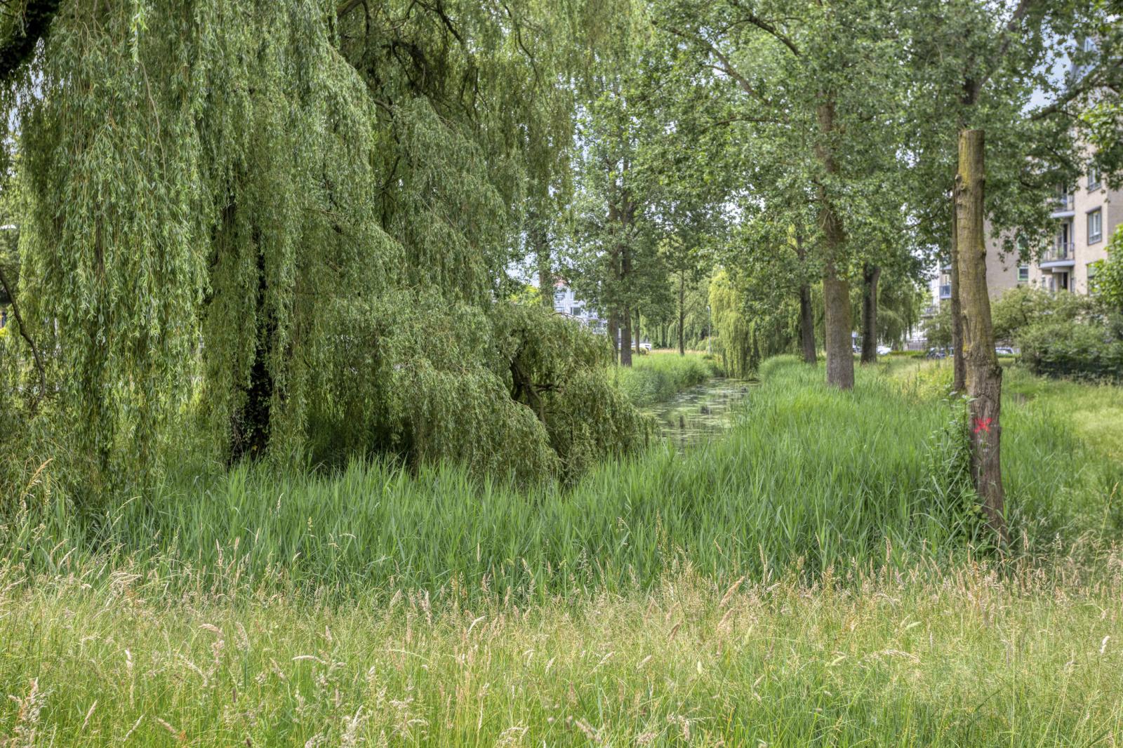De Gaullesingel 153