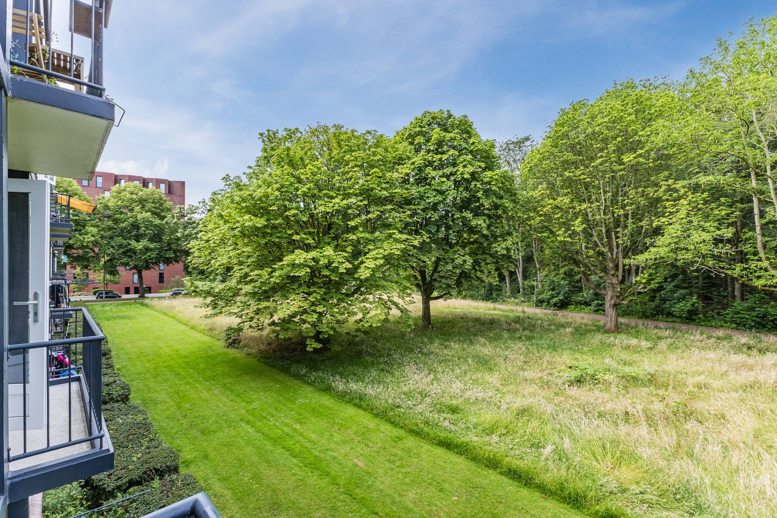 Wijnruitstraat 85