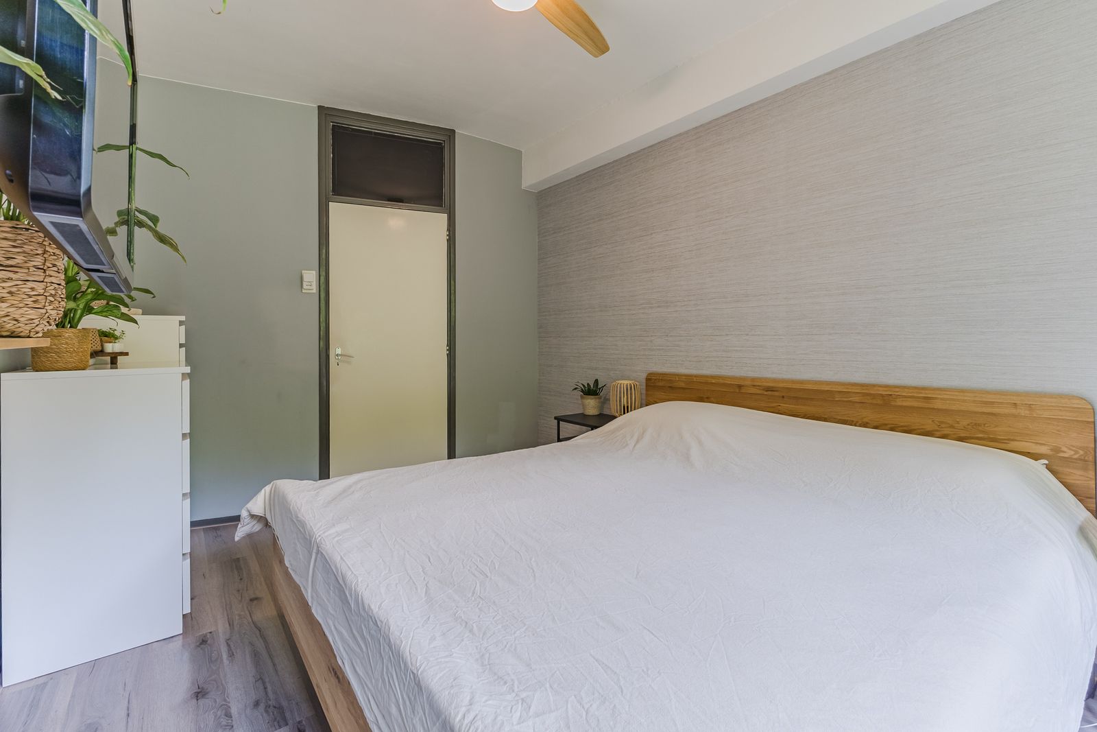 Wijnruitstraat 85