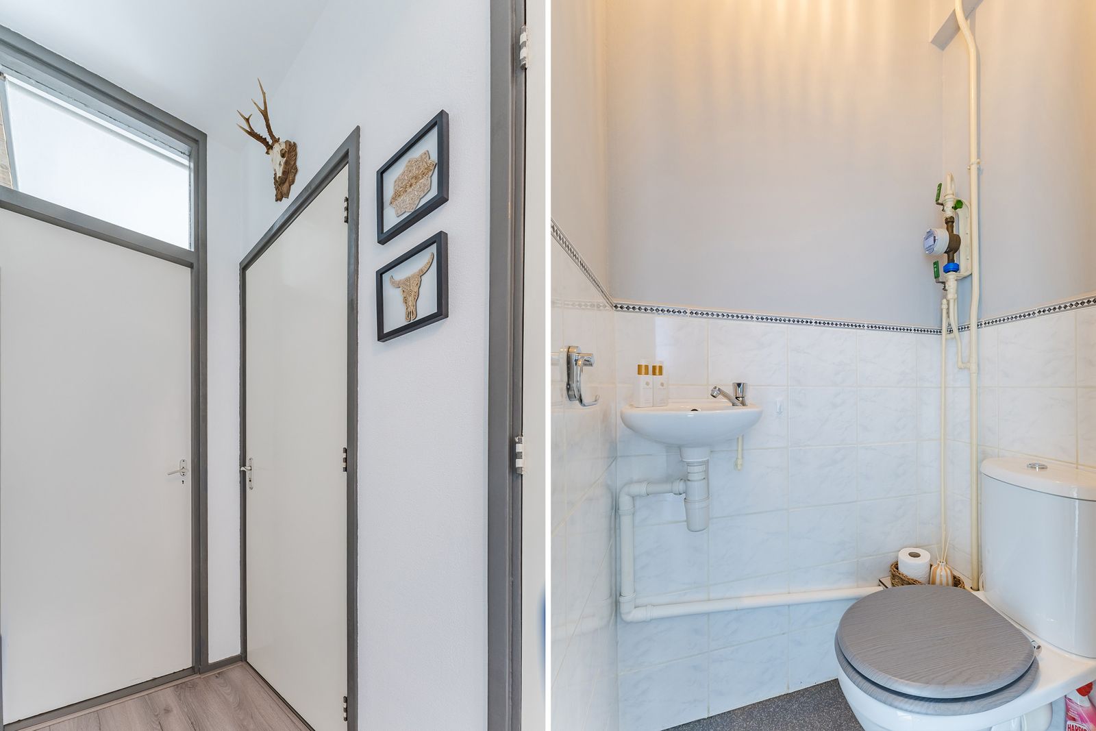 Wijnruitstraat 85
