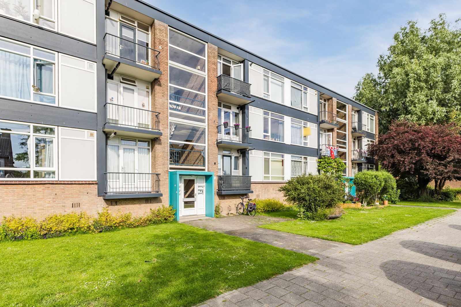 Wijnruitstraat 85