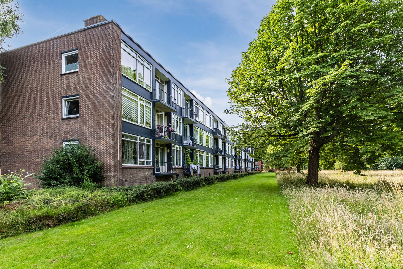 Wijnruitstraat 85