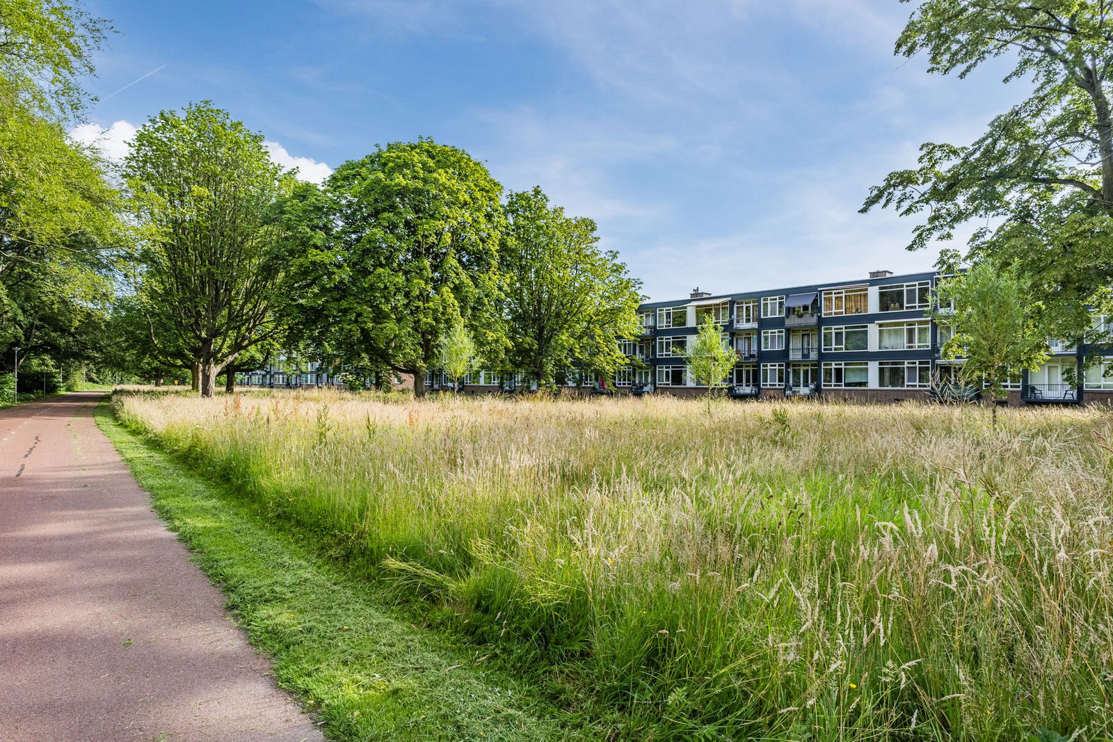 Wijnruitstraat 85