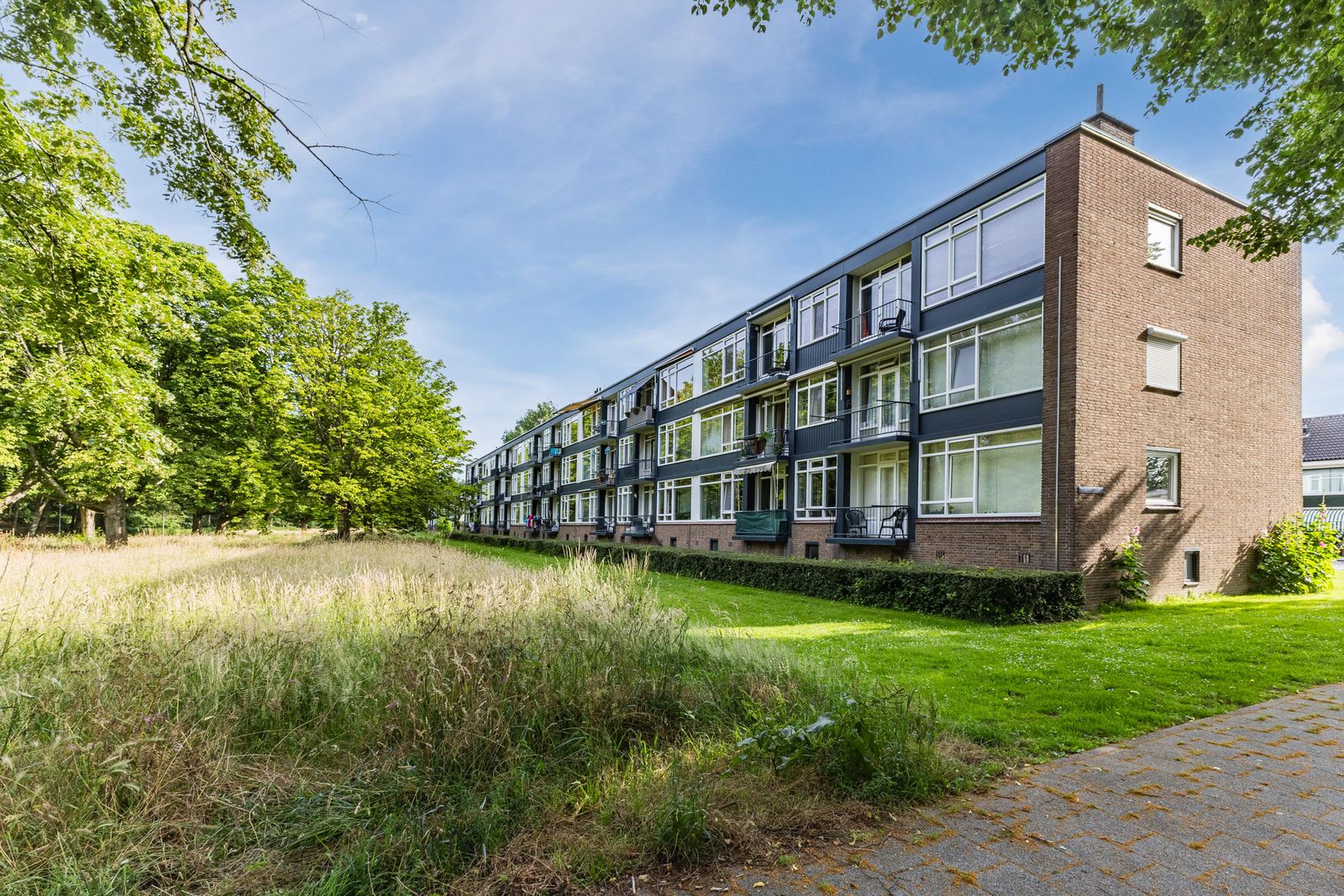 Wijnruitstraat 85