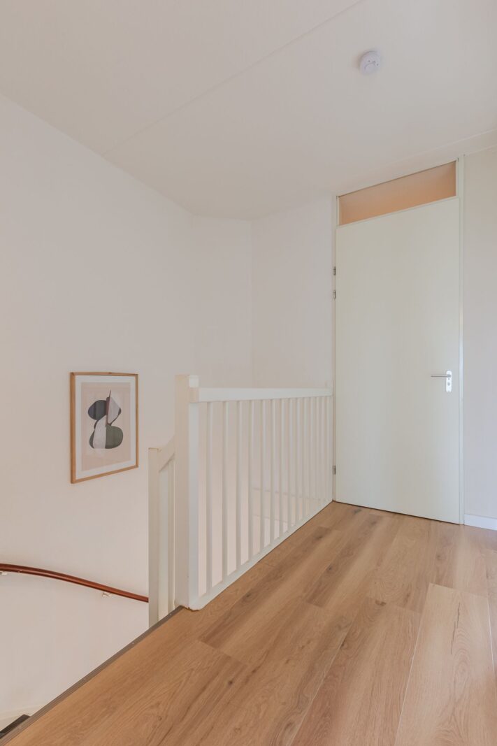 Veenland 3