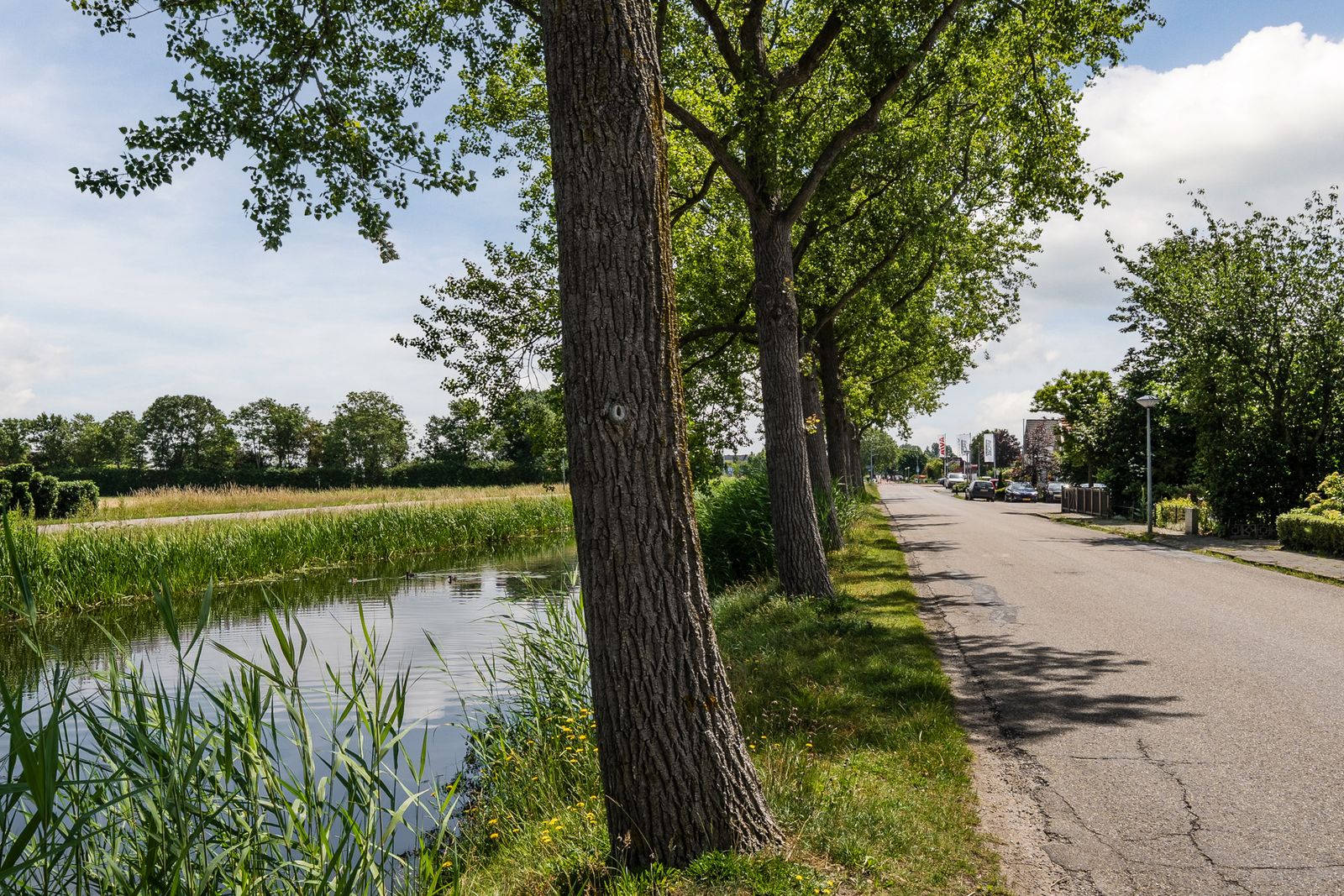 Muntenerf 3
