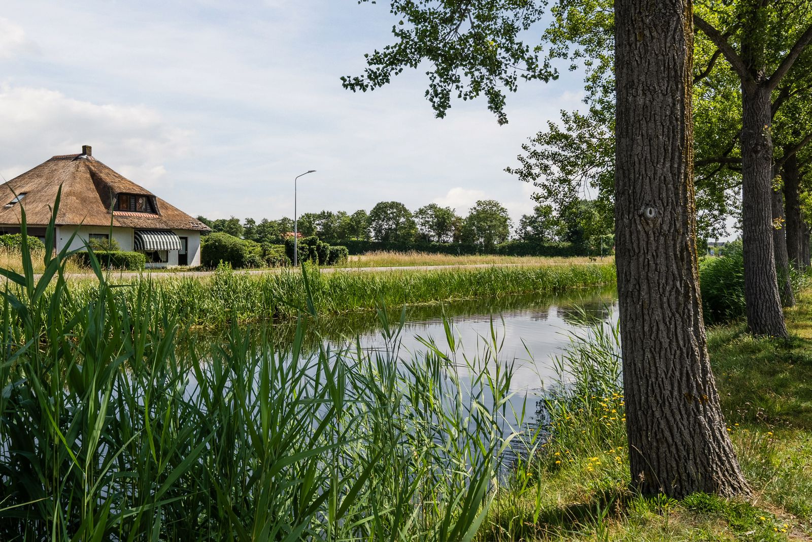 Muntenerf 3