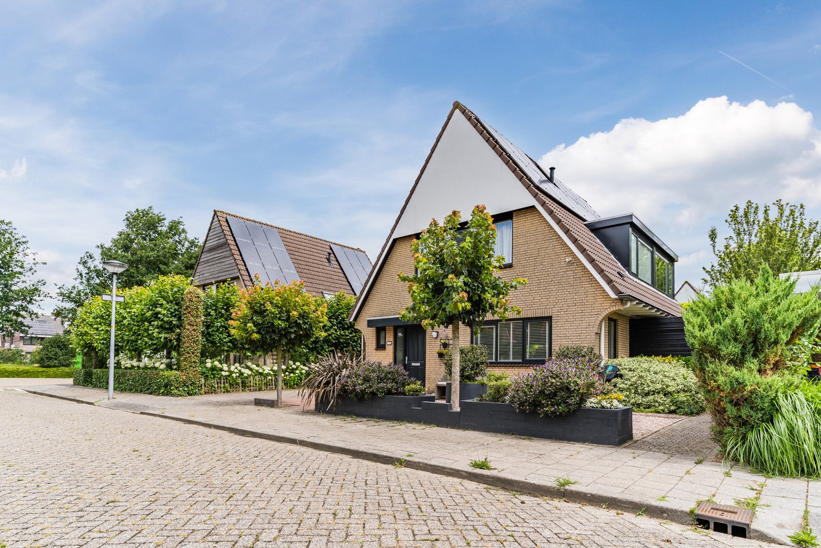 Koninginnekruid 10