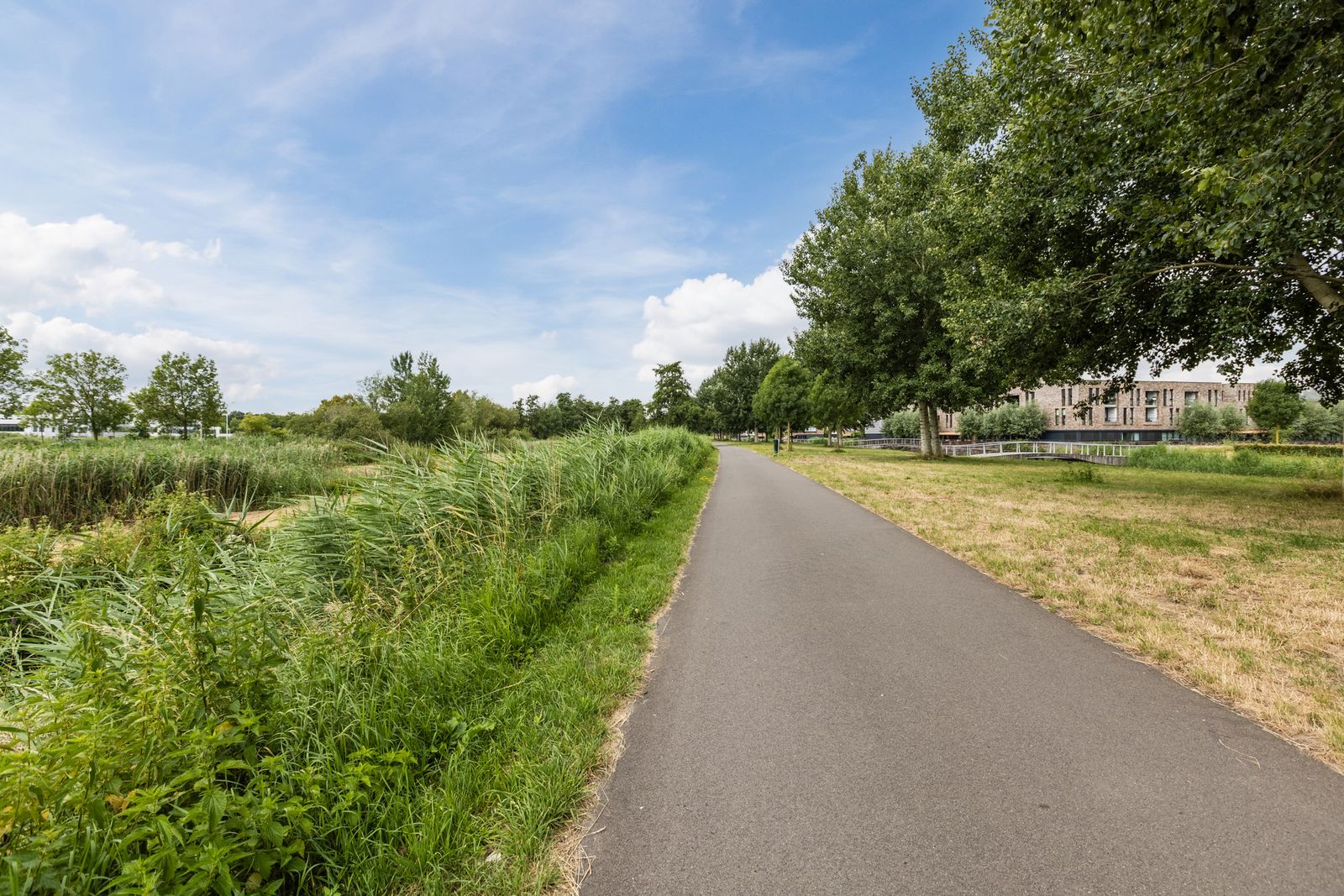 Dirk Hartogstraat 245