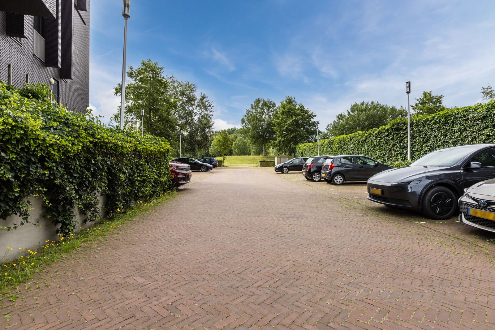 Dirk Hartogstraat 245
