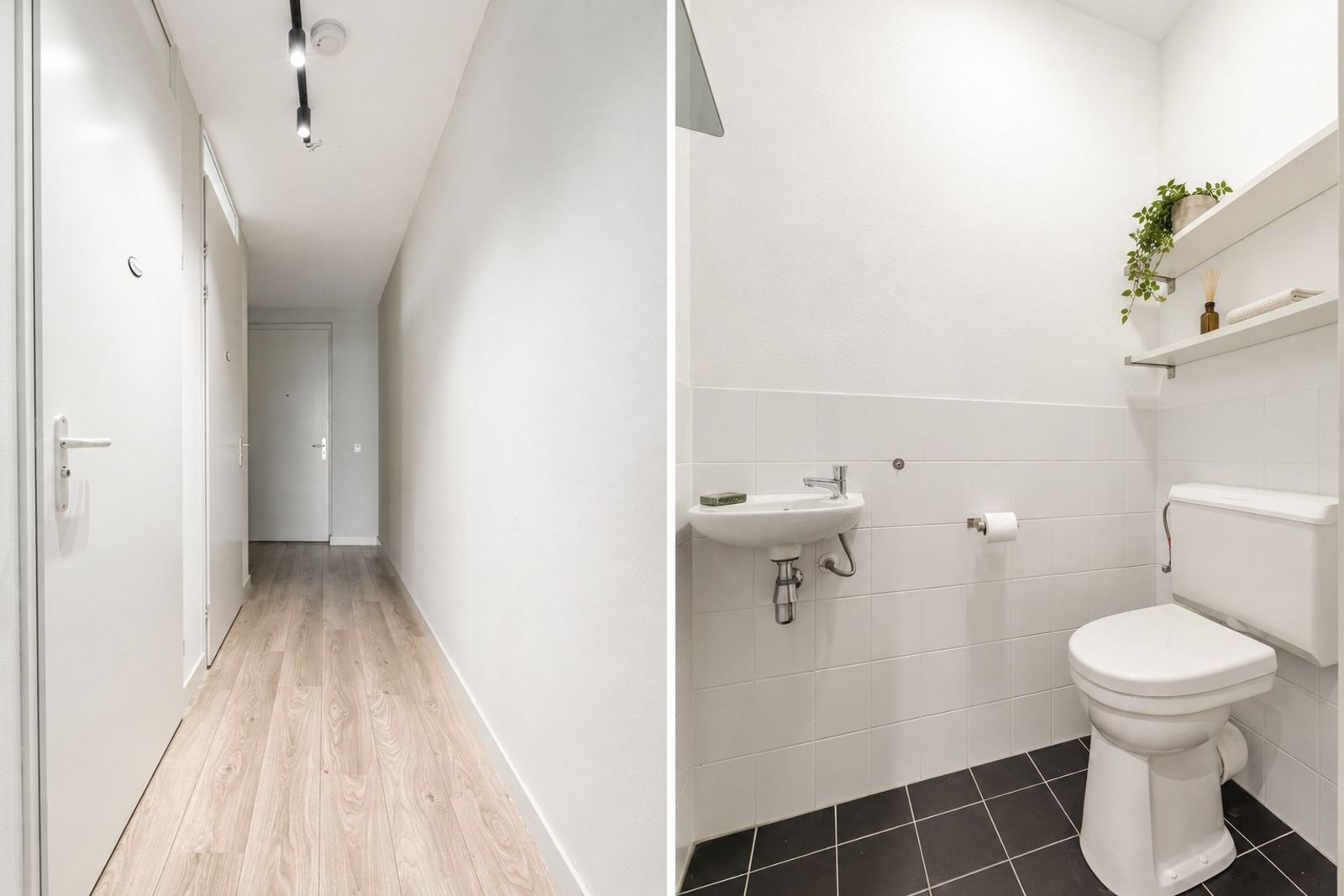 Dirk Hartogstraat 245